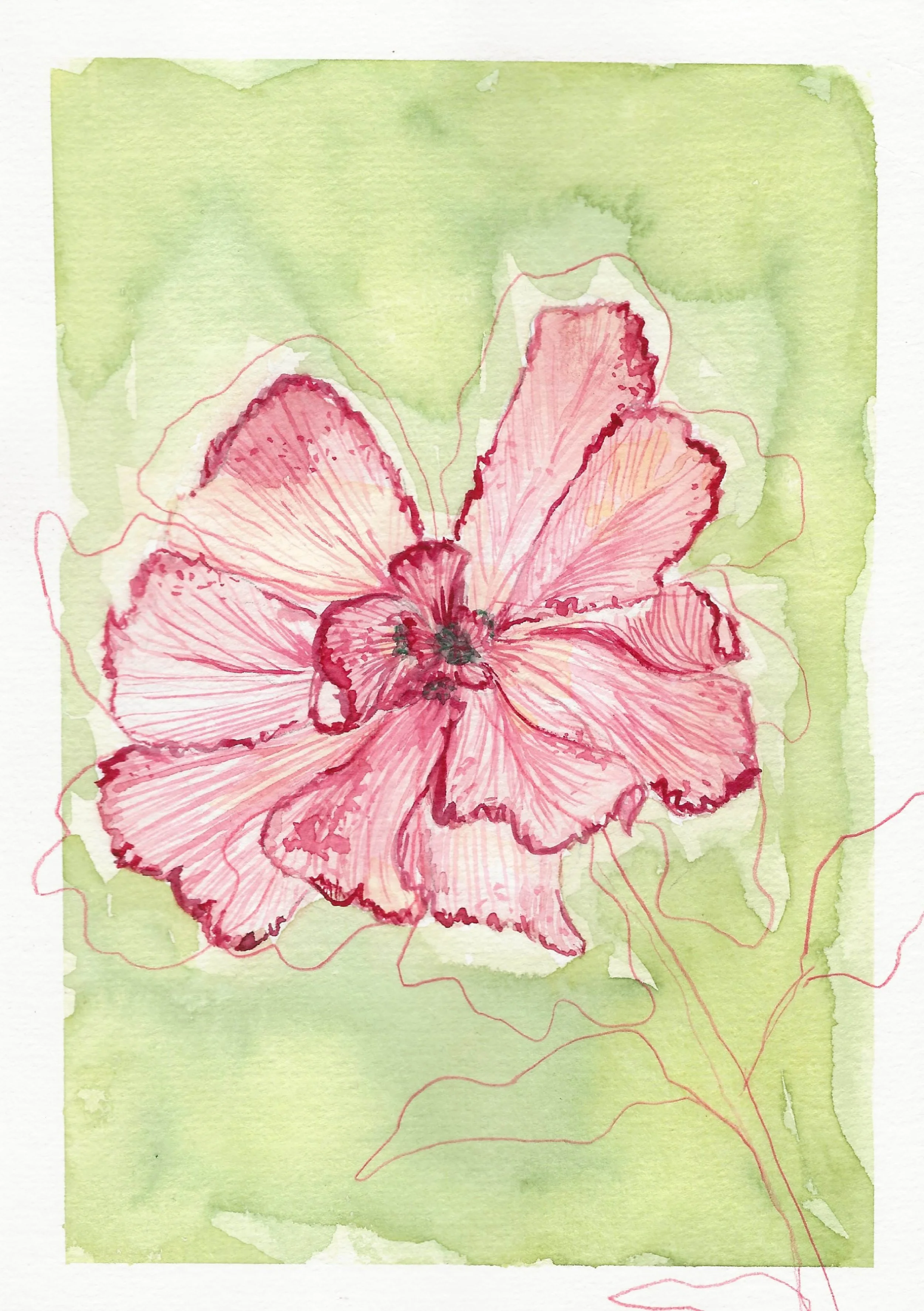 Flor rosa