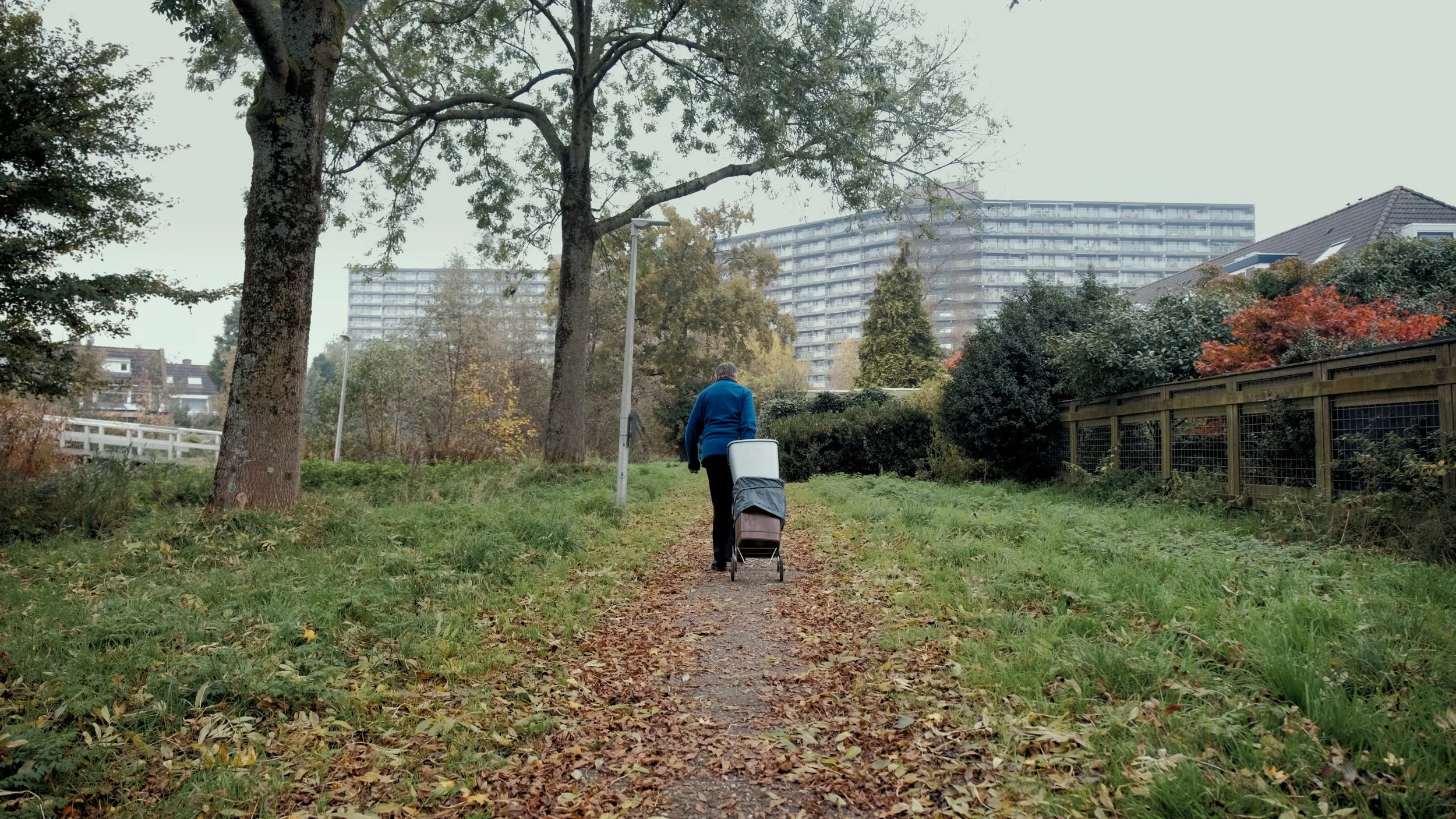 Person met een koffer op een pad in een park met bomen en hoge appartementen op de achtergrond.