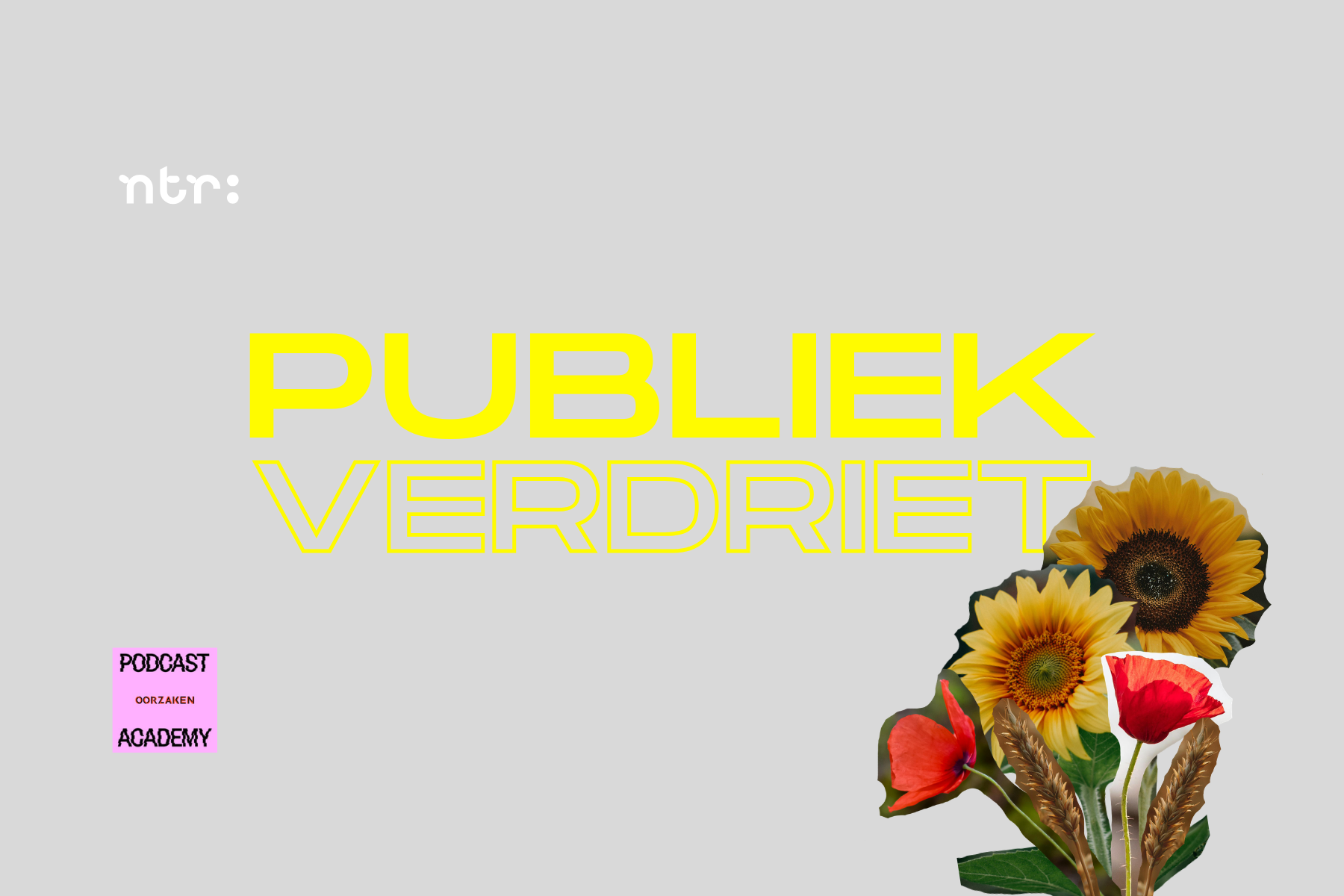Een cover met grote gele en witte letters die zeggen 'Publiek Verdriet'. Er is een afbeelding van kleurrijke bloemen, waaronder zonnebloemen en rode bloemen. In de linker onderhoek is een klein pink vierkant met teksten 'Podcast', 'Oorzaken' en 'Academy'.