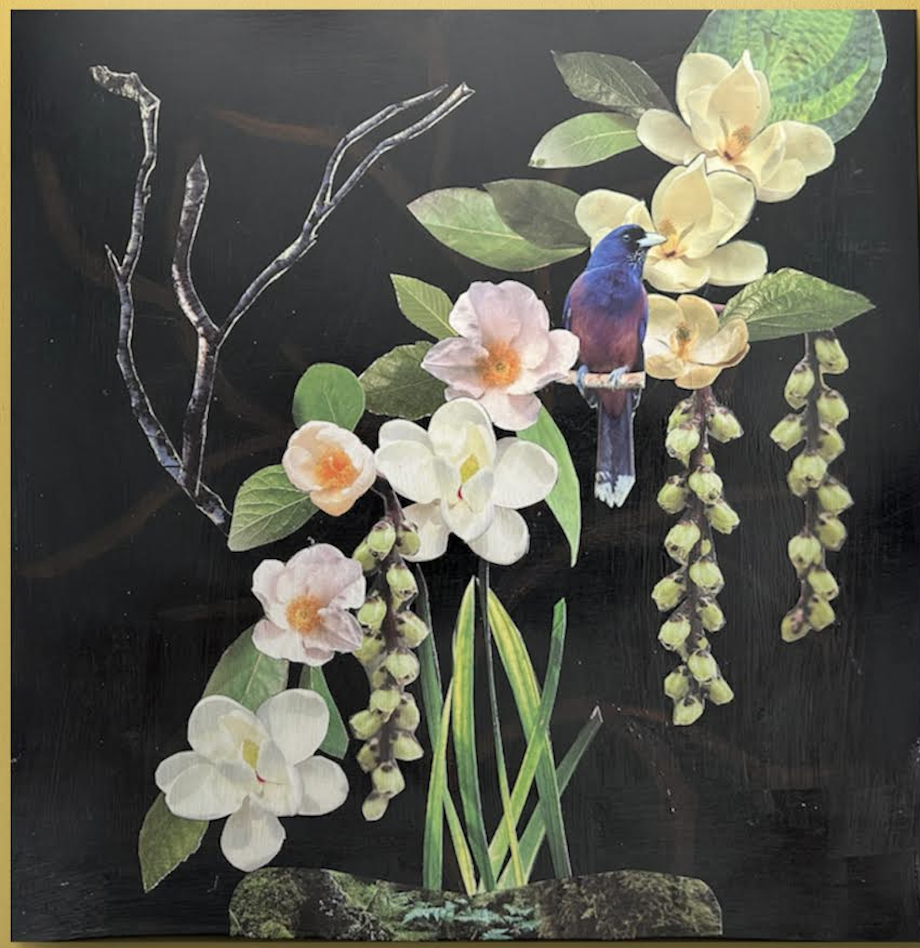 Bird on Magnolia.png