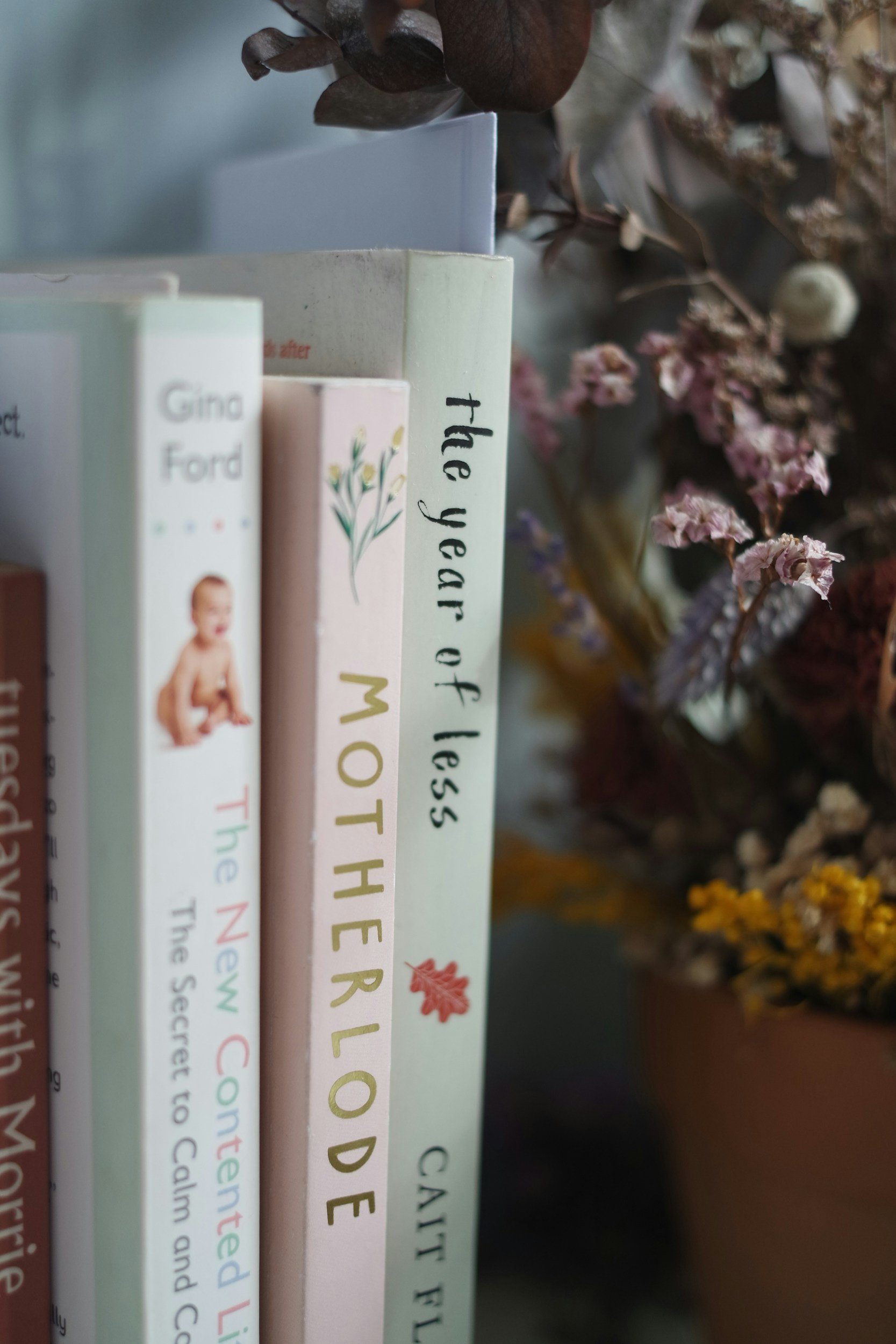 Close-up of a row of books on a shelf, with a variety of titles and designs, and dried flowers in the background.