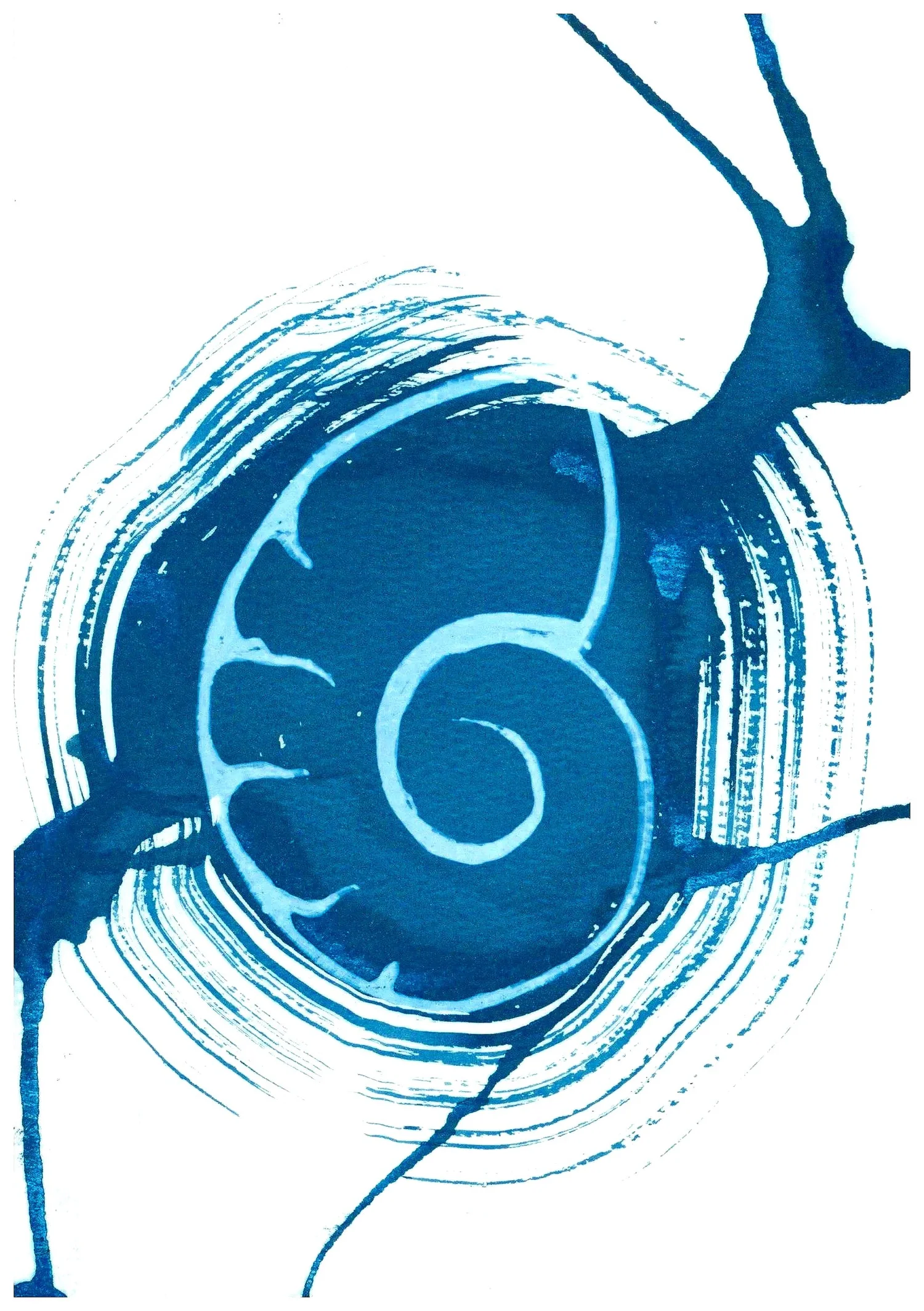 Nautilus Art Studio