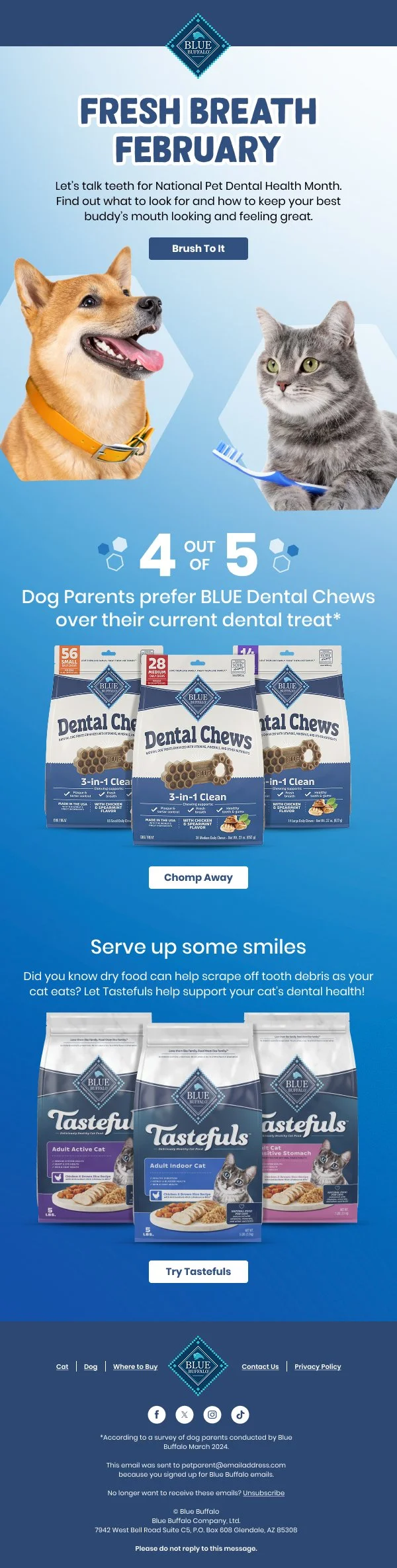 Dental.jpg