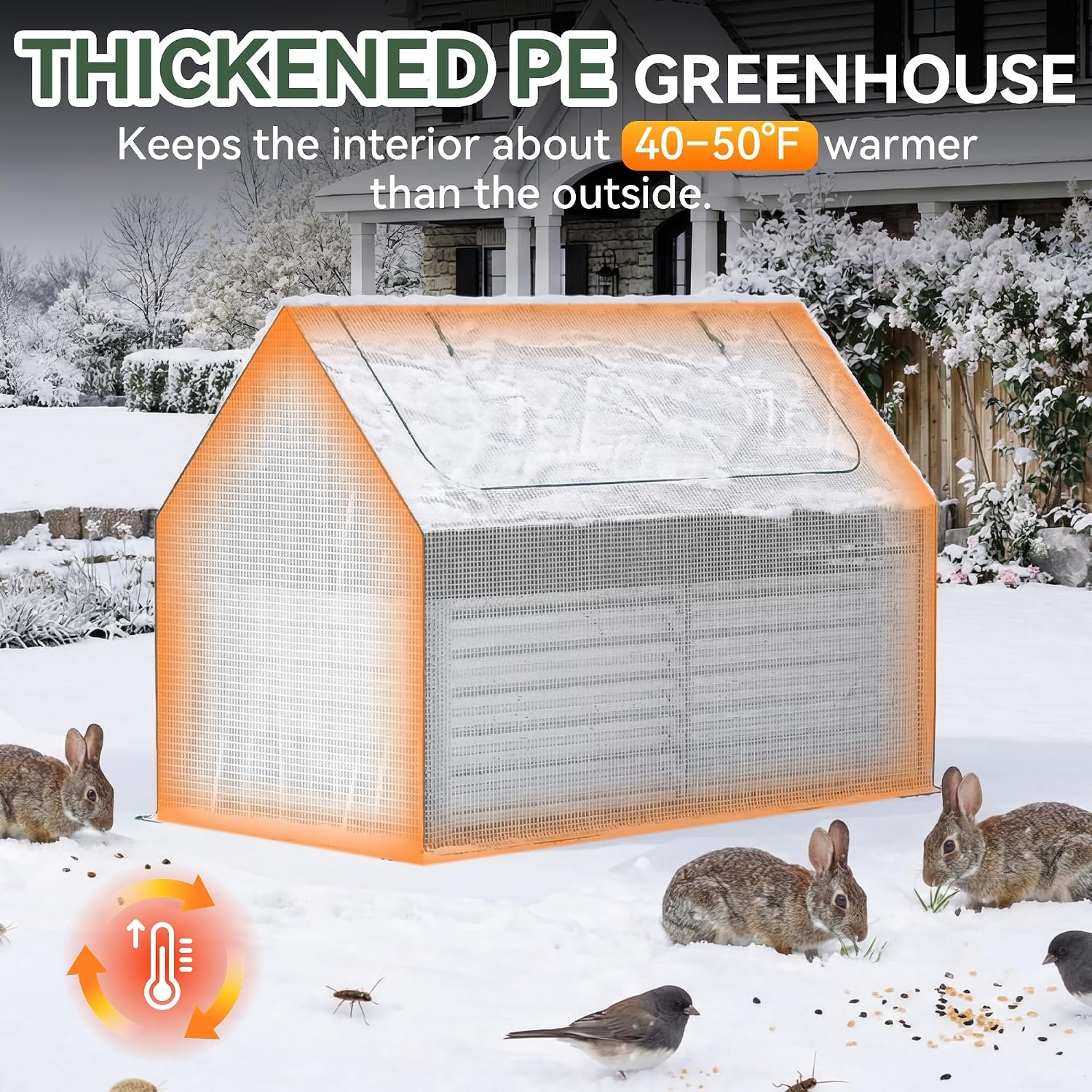 Greenhouse4.jpg