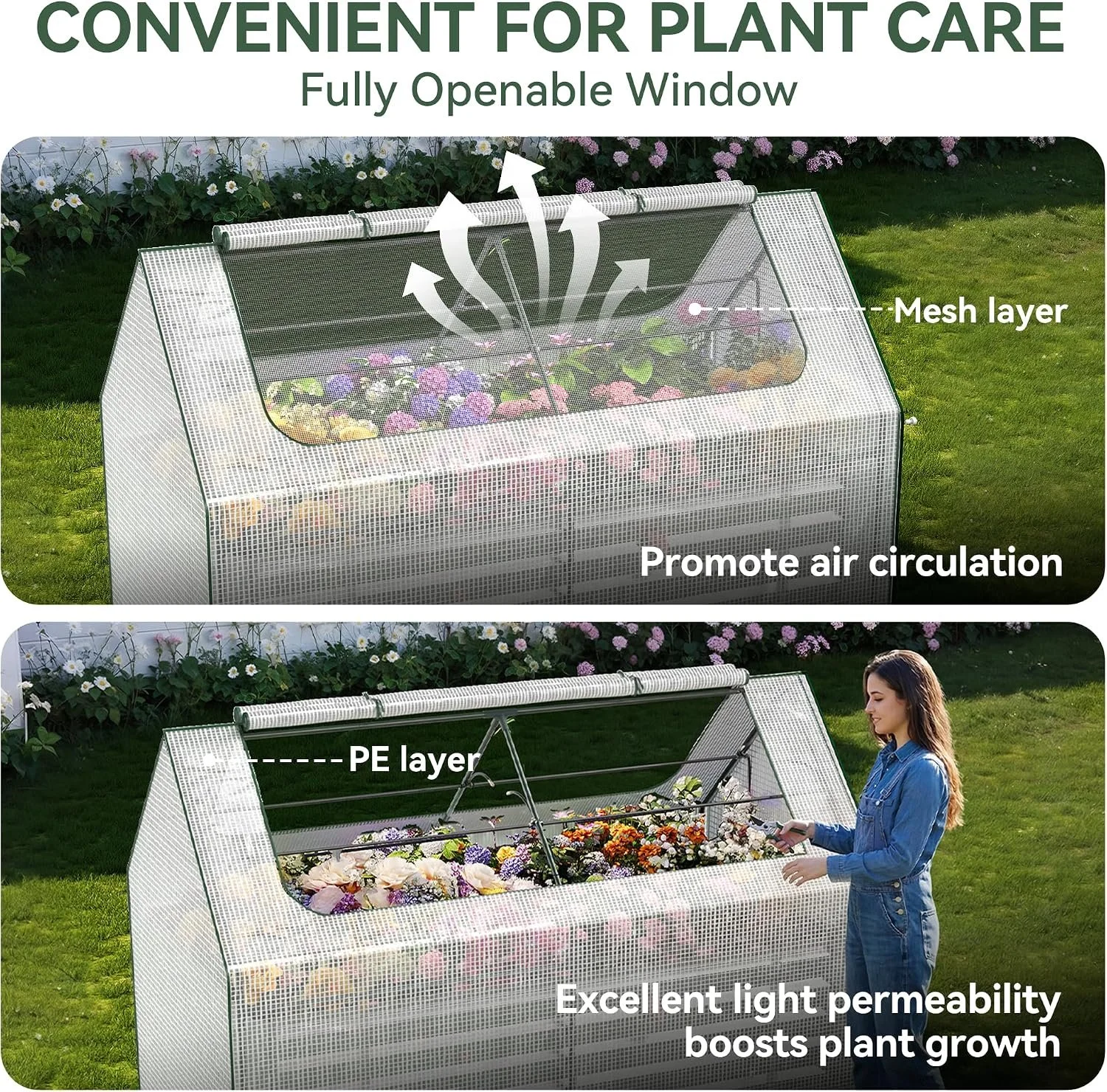 Greenhouse5.jpg