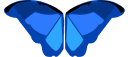 MorphiosLab