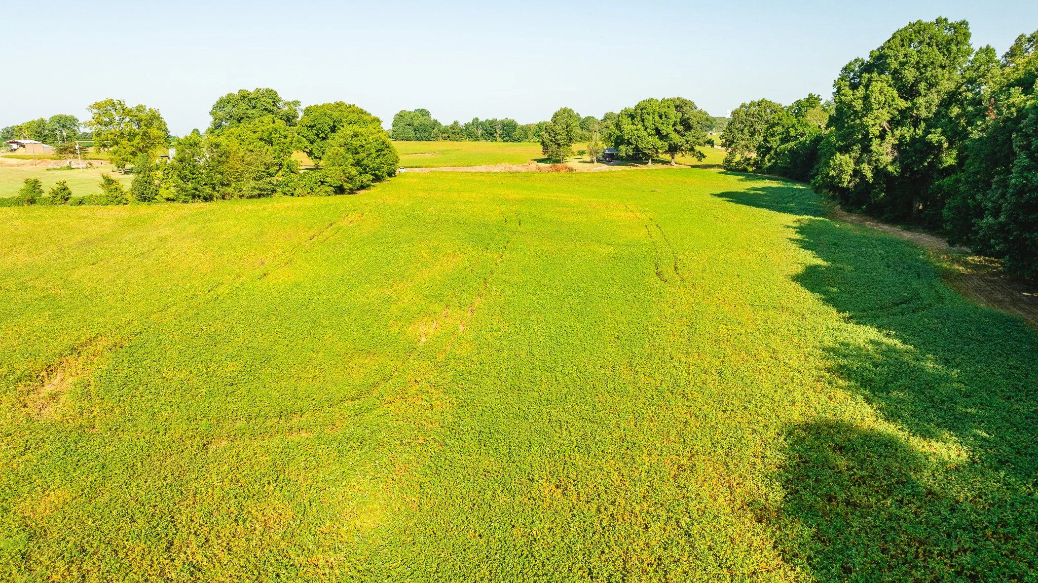 DJI_20260810155837_0047_D.jpg