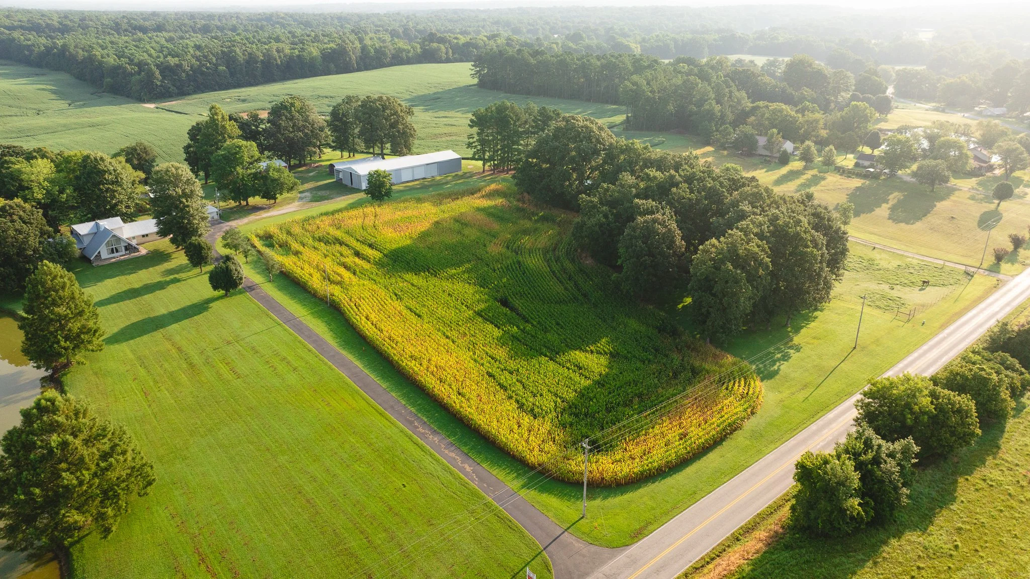 DJI_20260804150756_0032_D.jpg