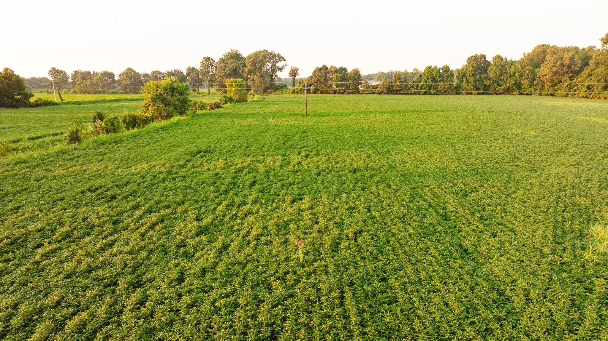 DJI_20260726140031_0039_D.jpg