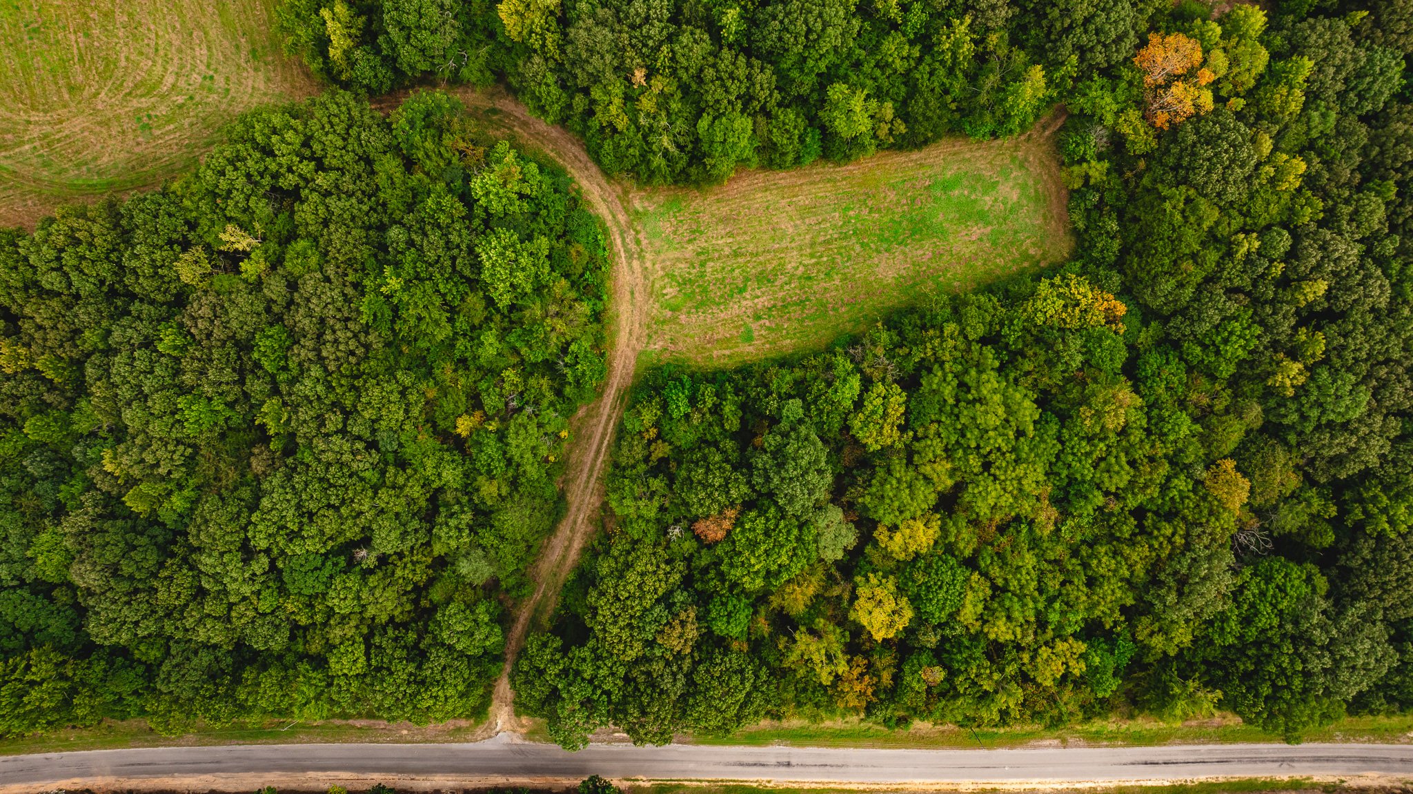 DJI_20260817174345_0068_D.jpg