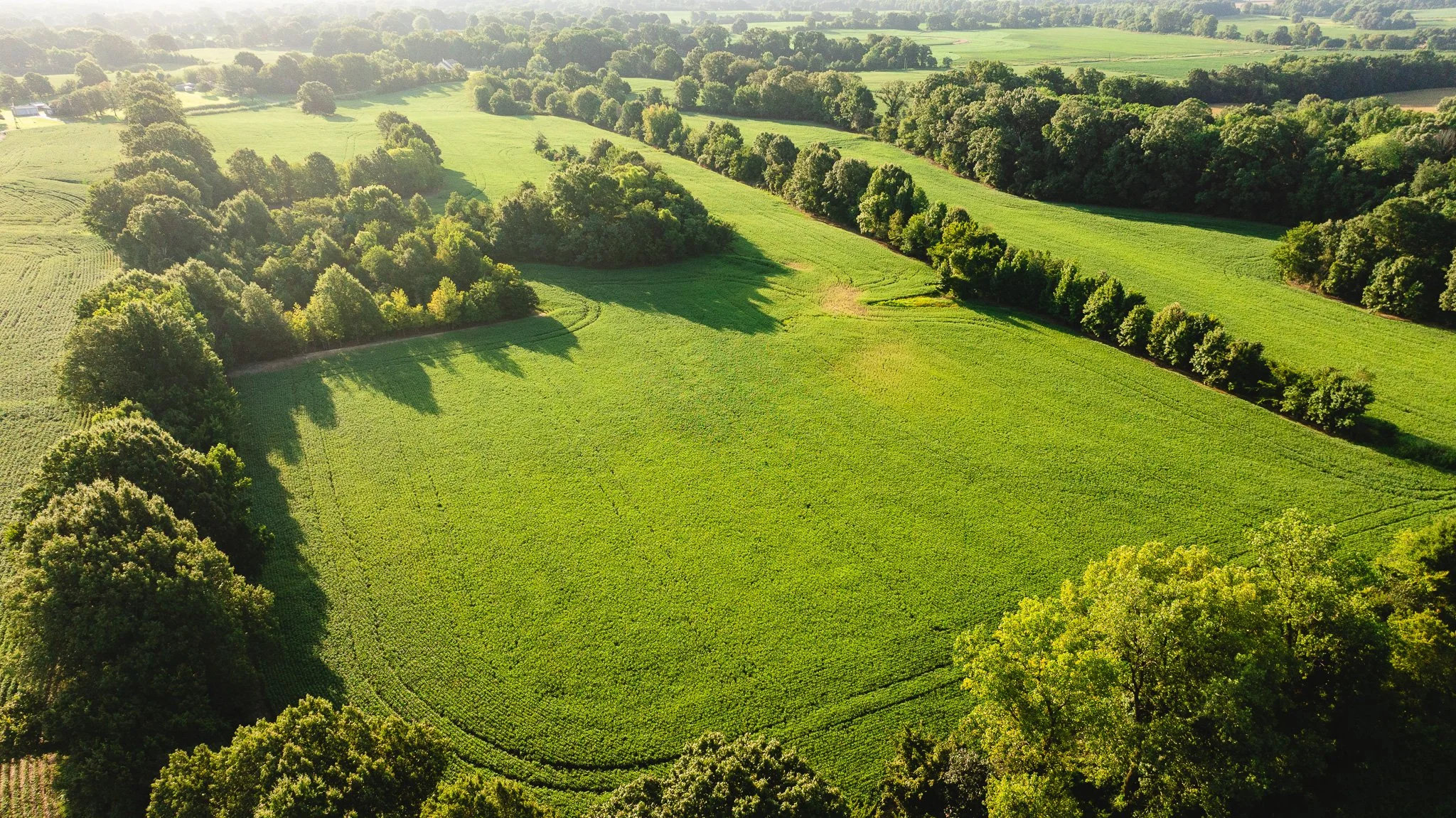 DJI_20260810150842_0026_D.jpg