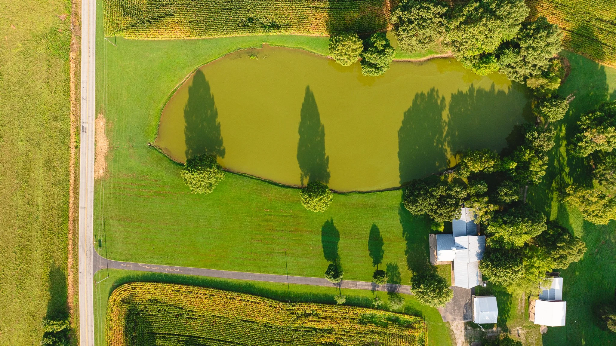DJI_20260804152448_0080_D.jpg