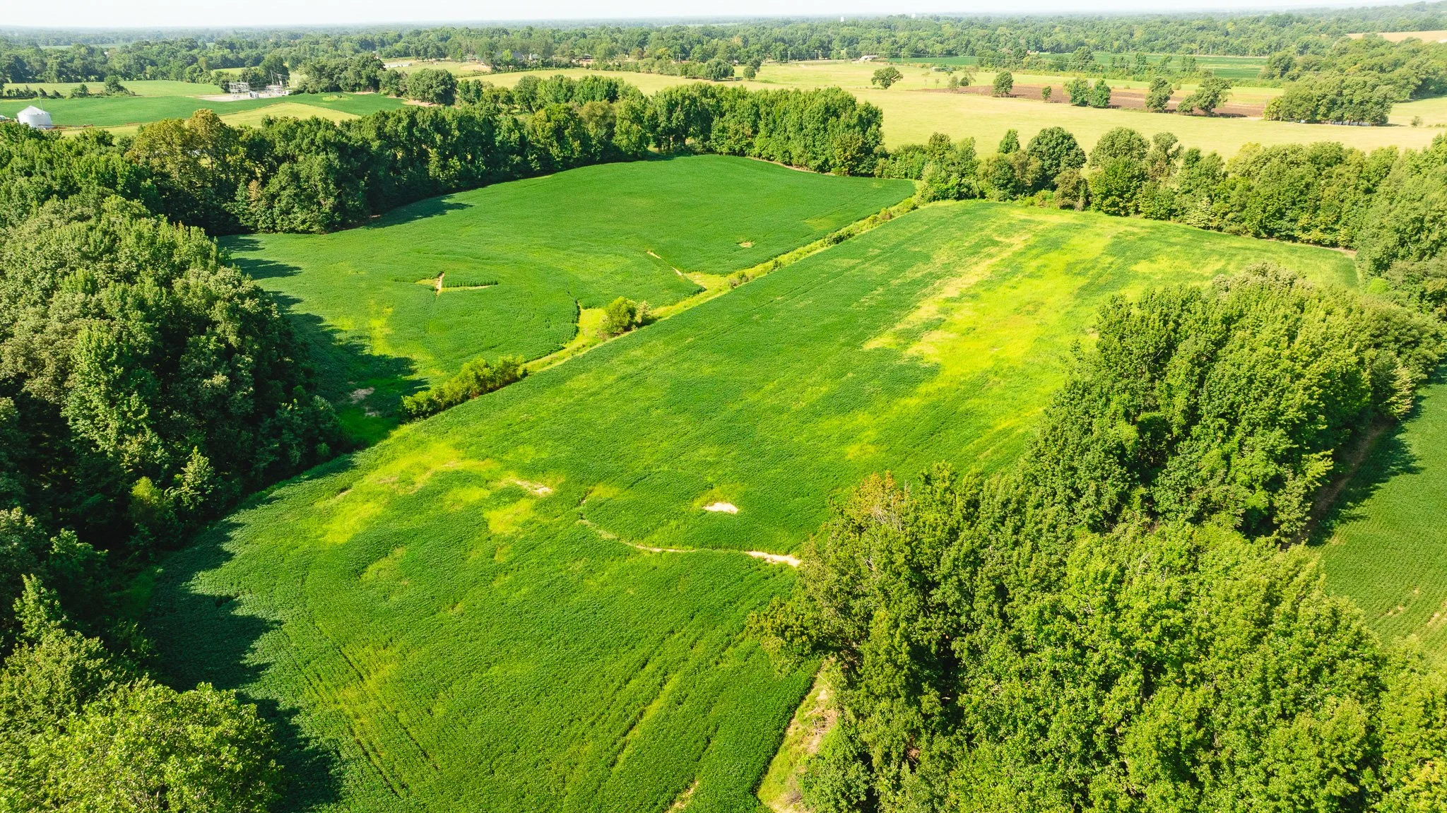DJI_20260810170620_0097_D.jpg
