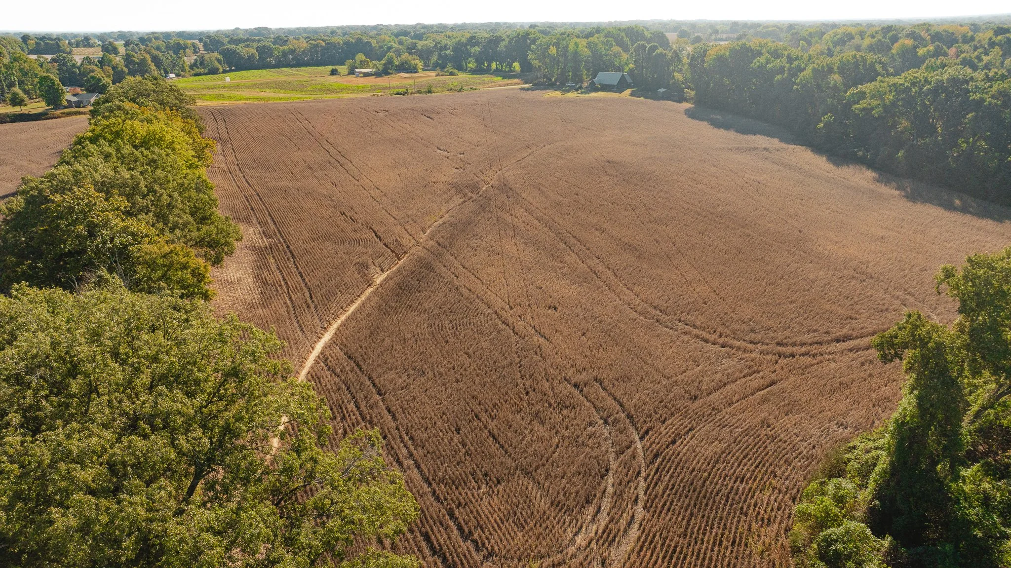 dji_fly_20261018_163846_0098_1792519573573_photo.jpg
