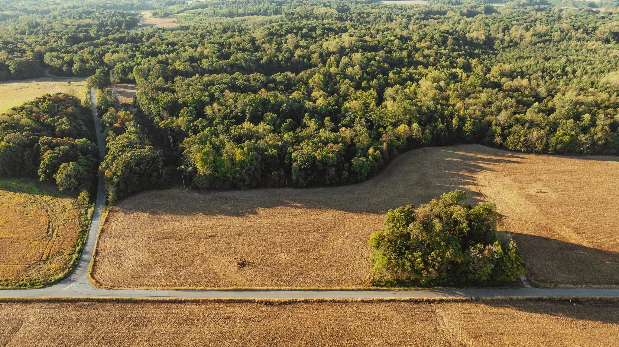 DJI_20261007150427_0011_D.jpg