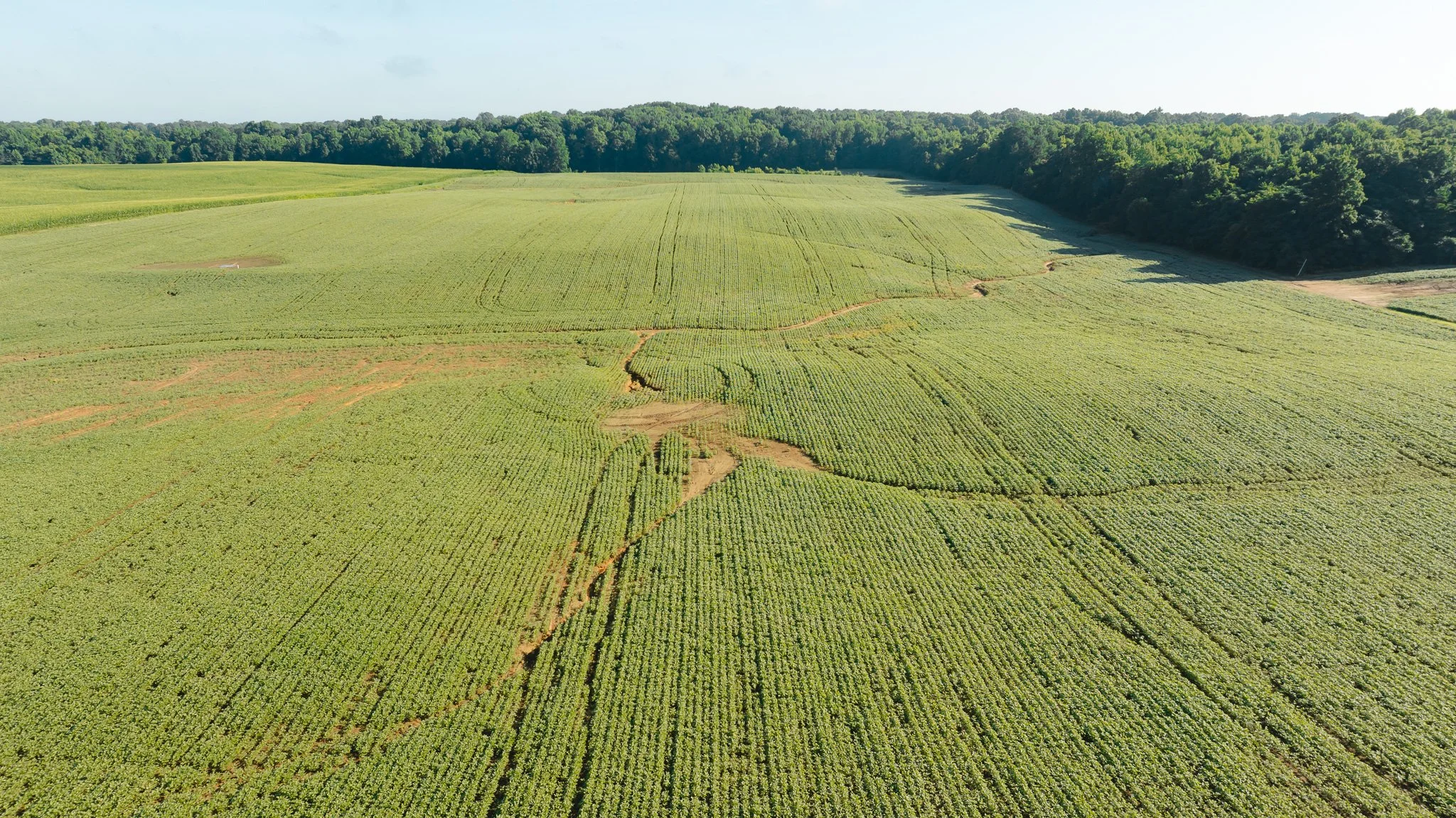 DJI_20260621152325_0037_D.jpg