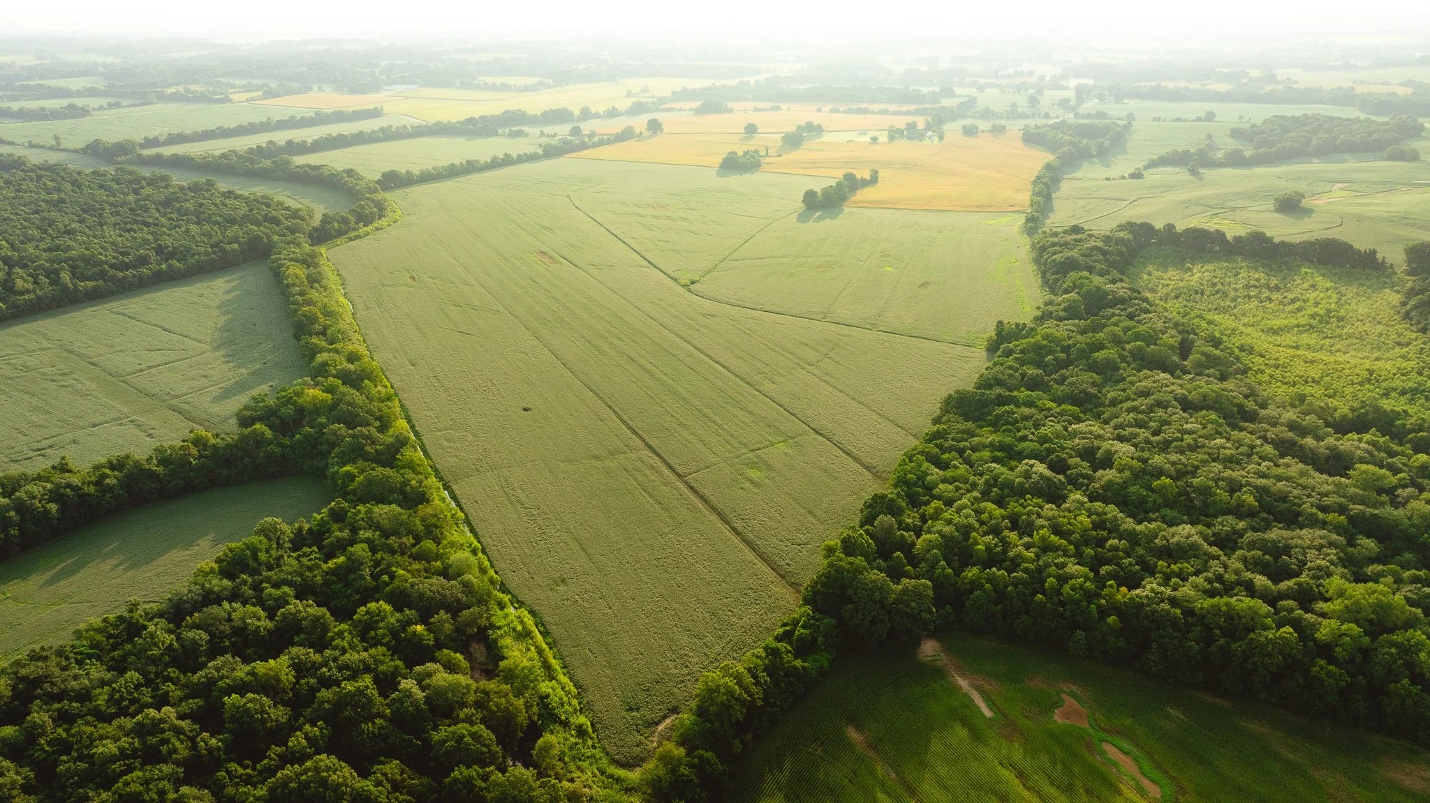 DJI_20260729144159_0065_D.jpg