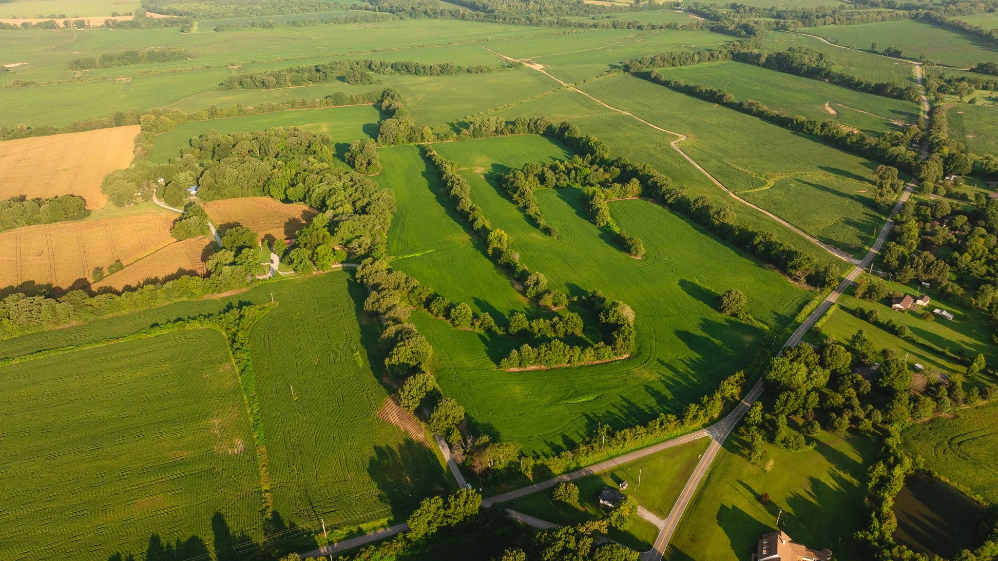 DJI_20260810145907_0002_D.jpg