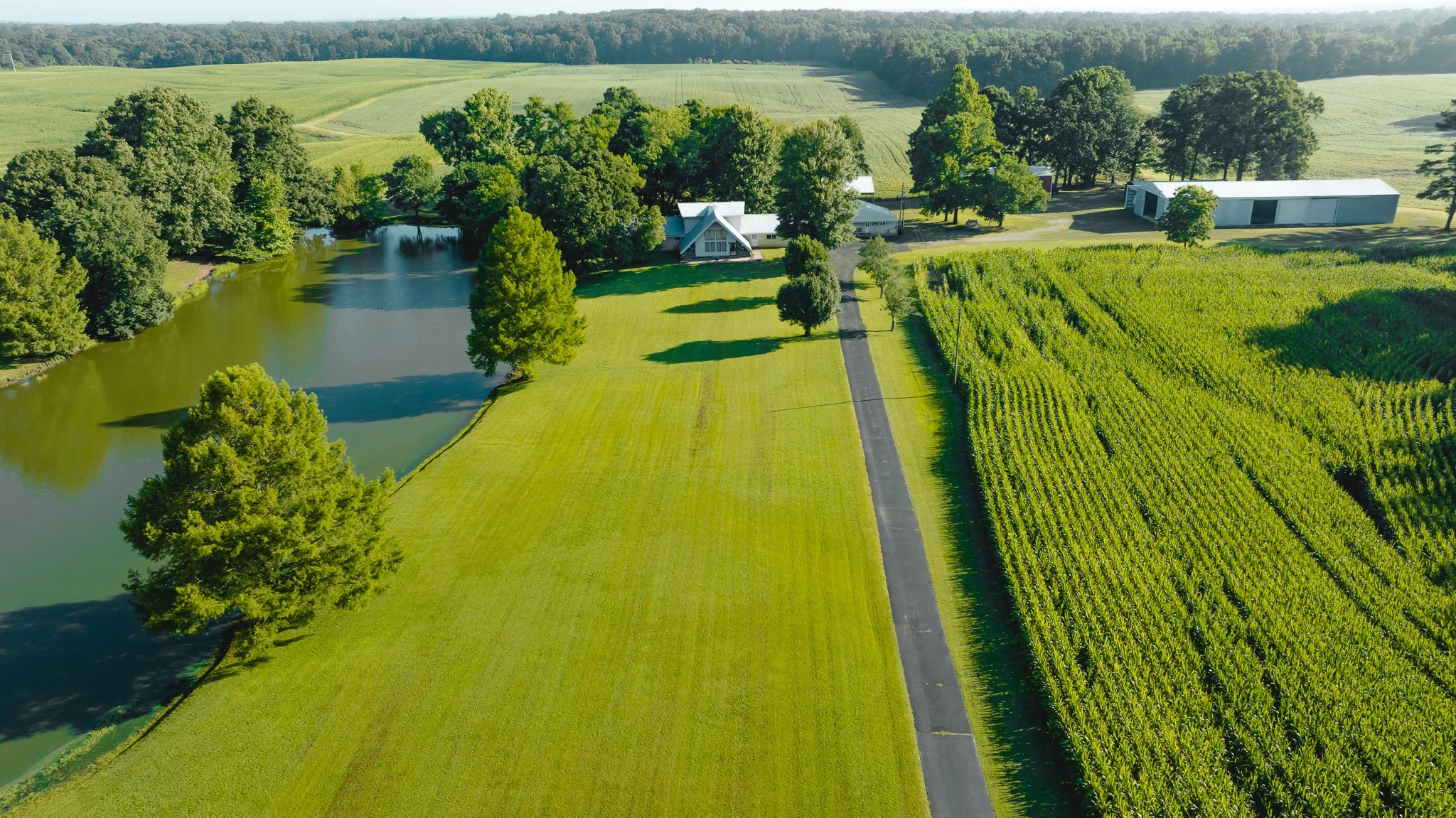 DJI_20260621150723_0001_D.jpg