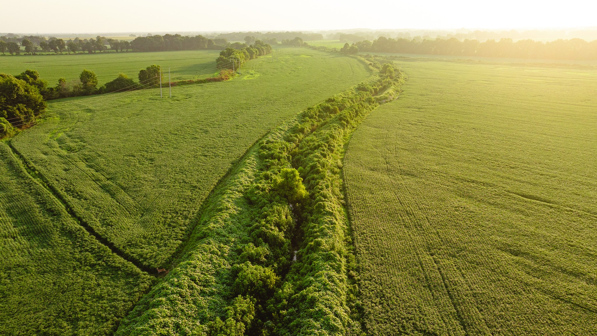 DJI_20260726141504_0065_D.jpg