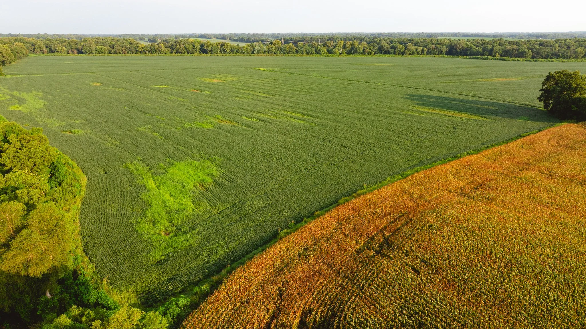 DJI_20260729143611_0050_D.jpg
