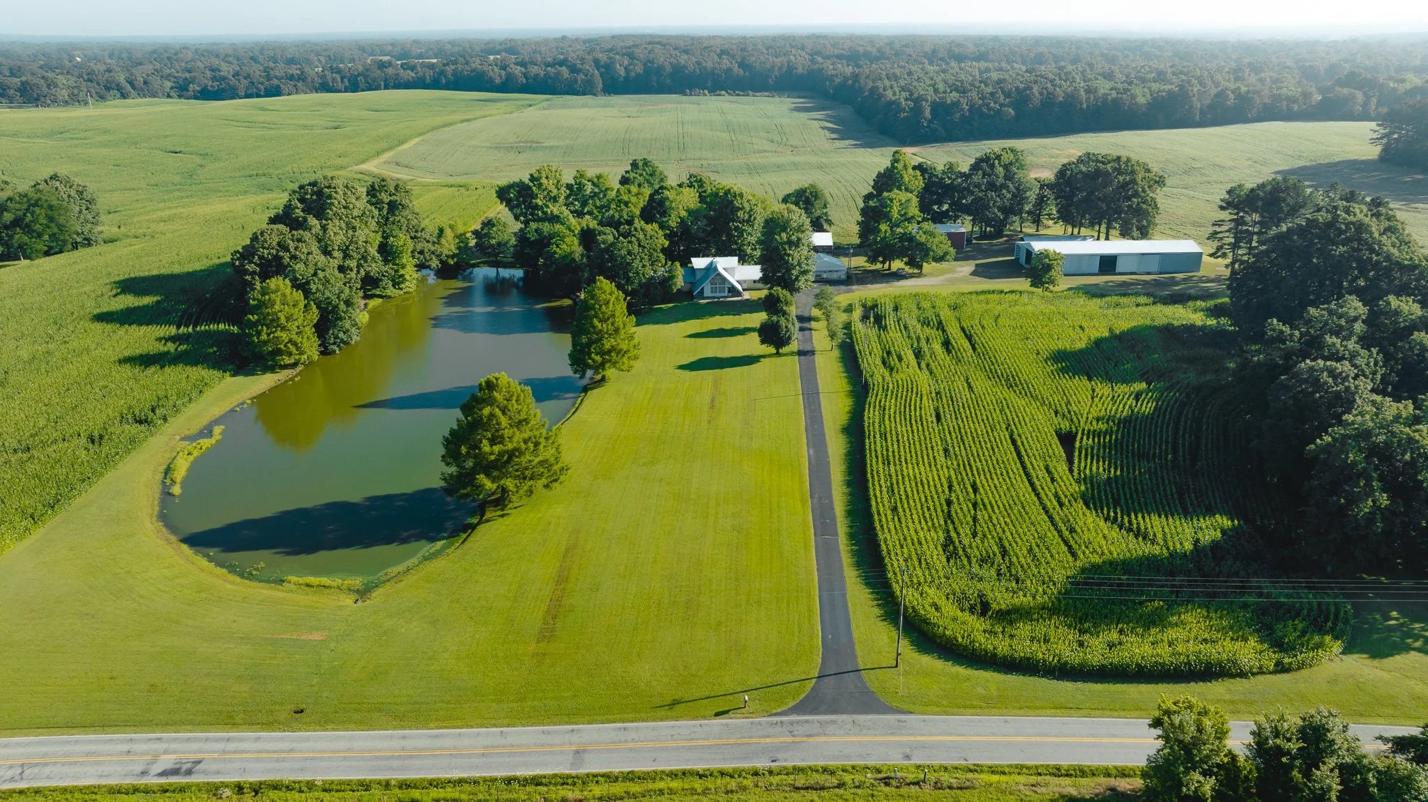 DJI_20260621150739_0003_D.jpg