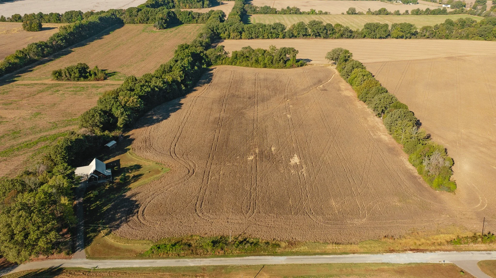 dji_fly_20261018_163410_0087_1792519579598_photo.jpg