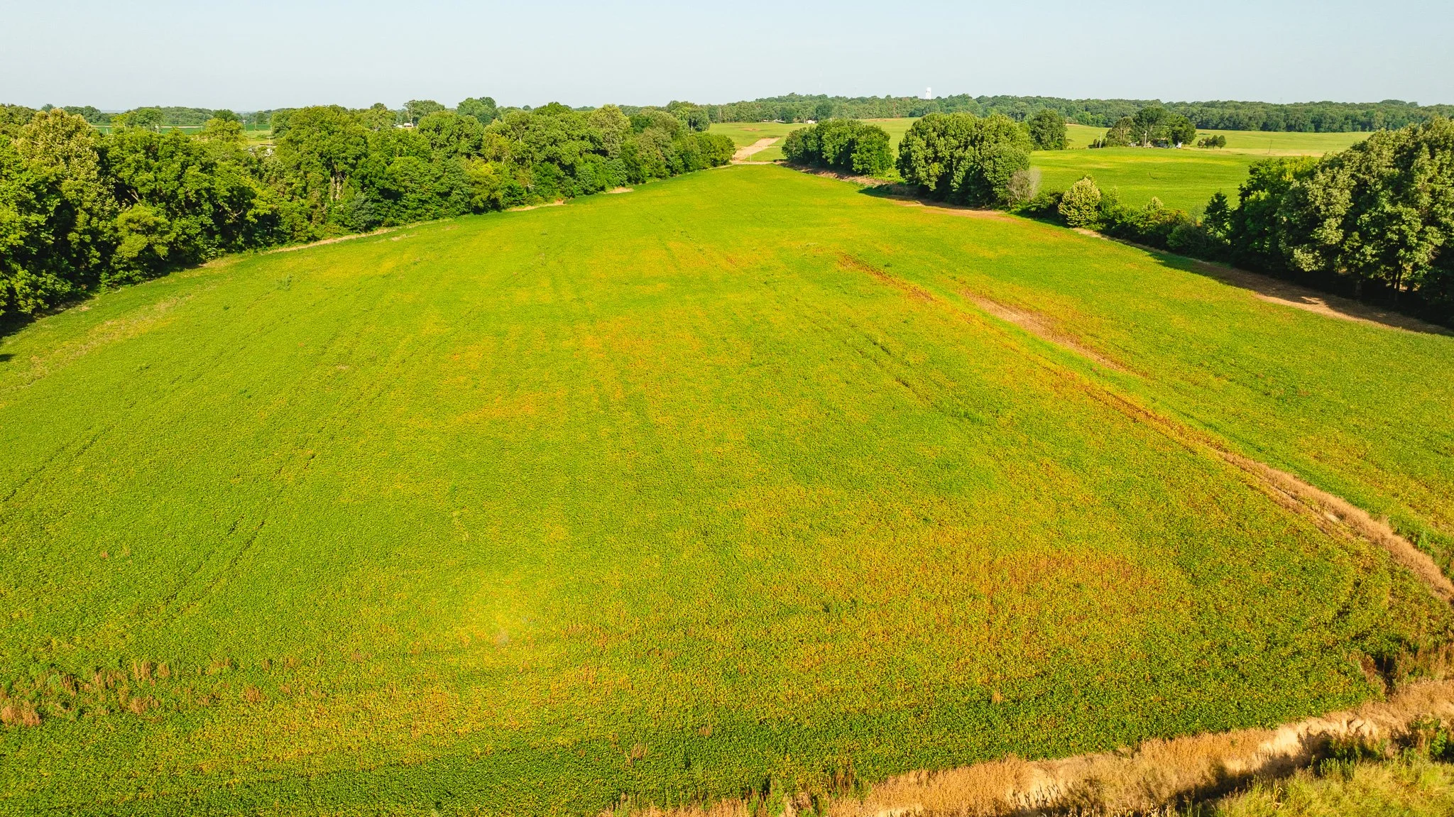 DJI_20260810155355_0036_D.jpg