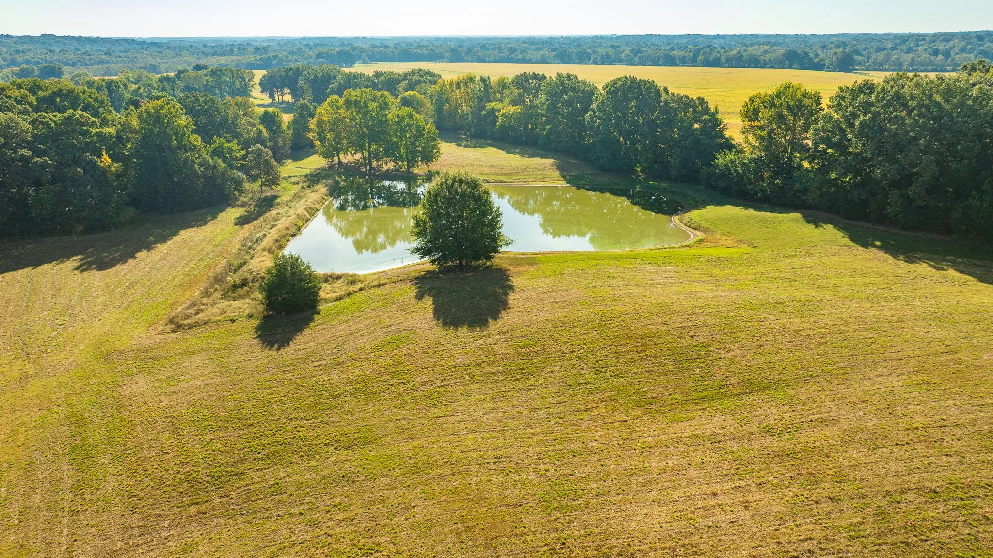 DJI_20260929161656_0121_D.jpg