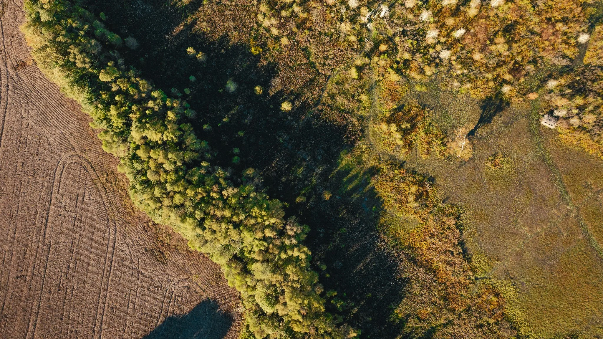 DJI_20261018155004_0019_D.jpg
