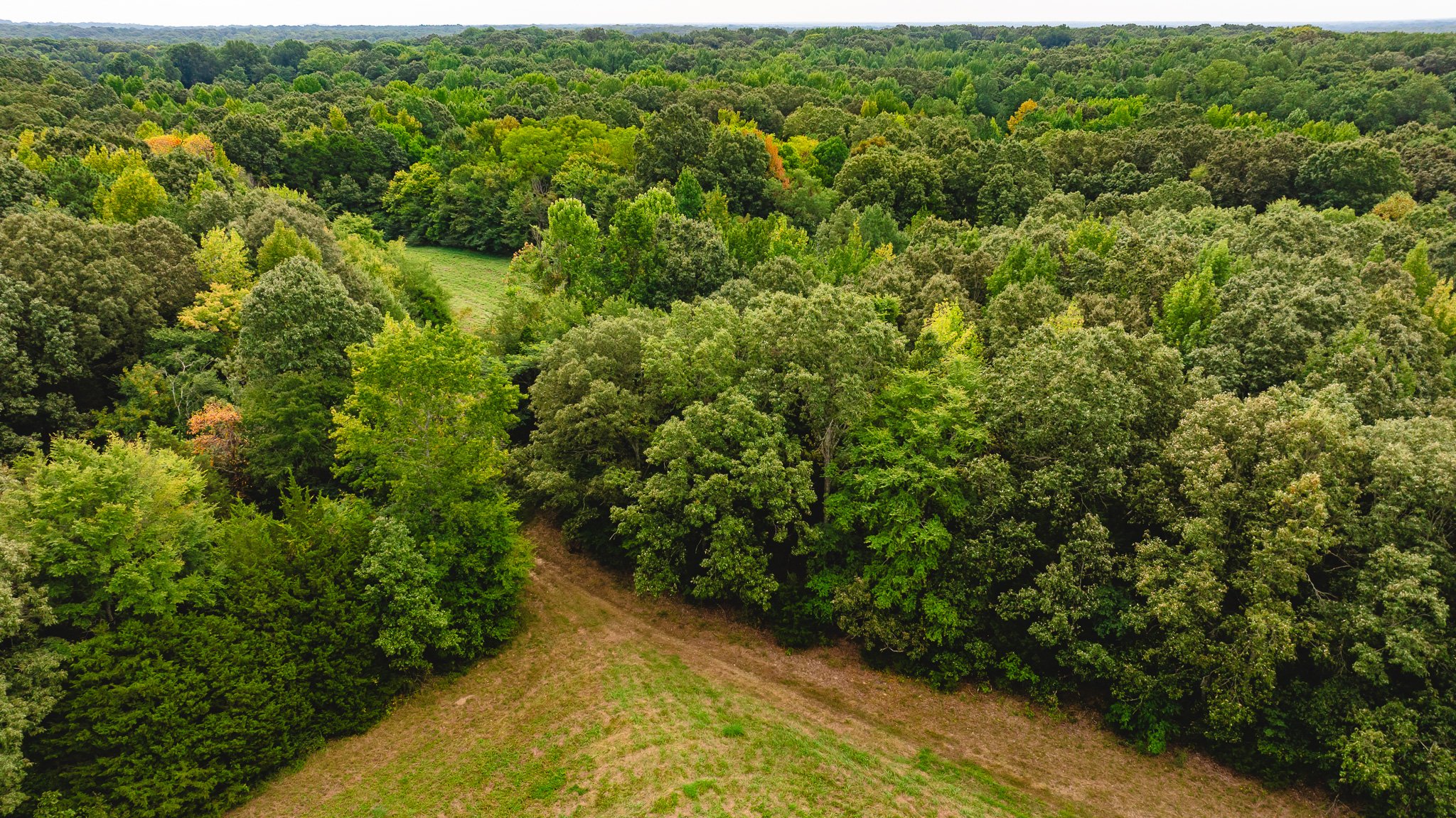 DJI_20260817174433_0070_D.jpg
