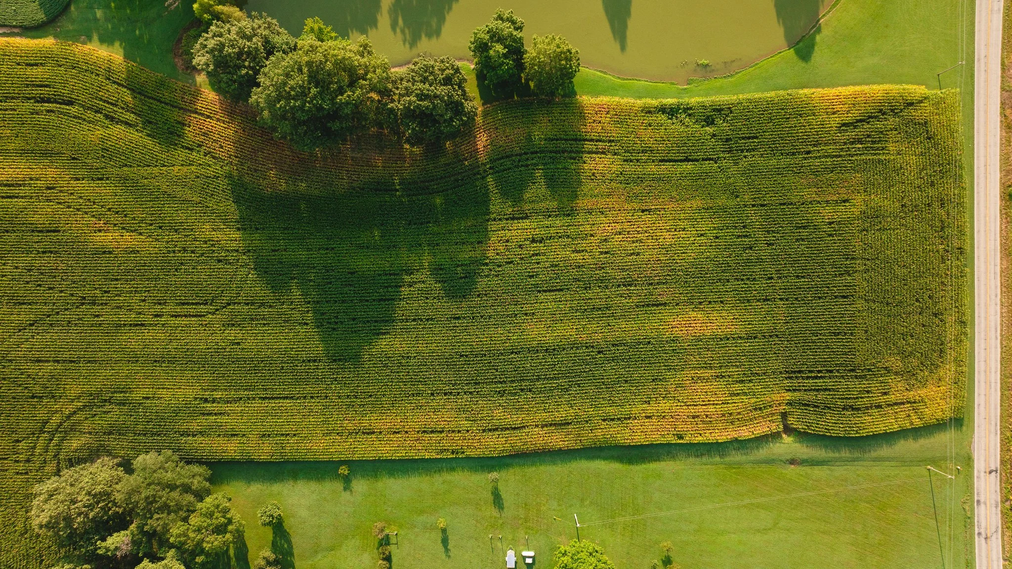DJI_20260804150721_0031_D.jpg