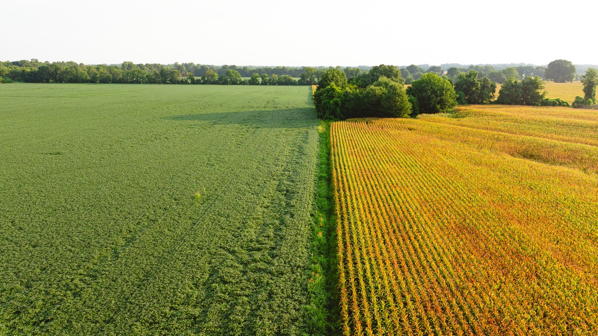 DJI_20260729144446_0072_D.jpg