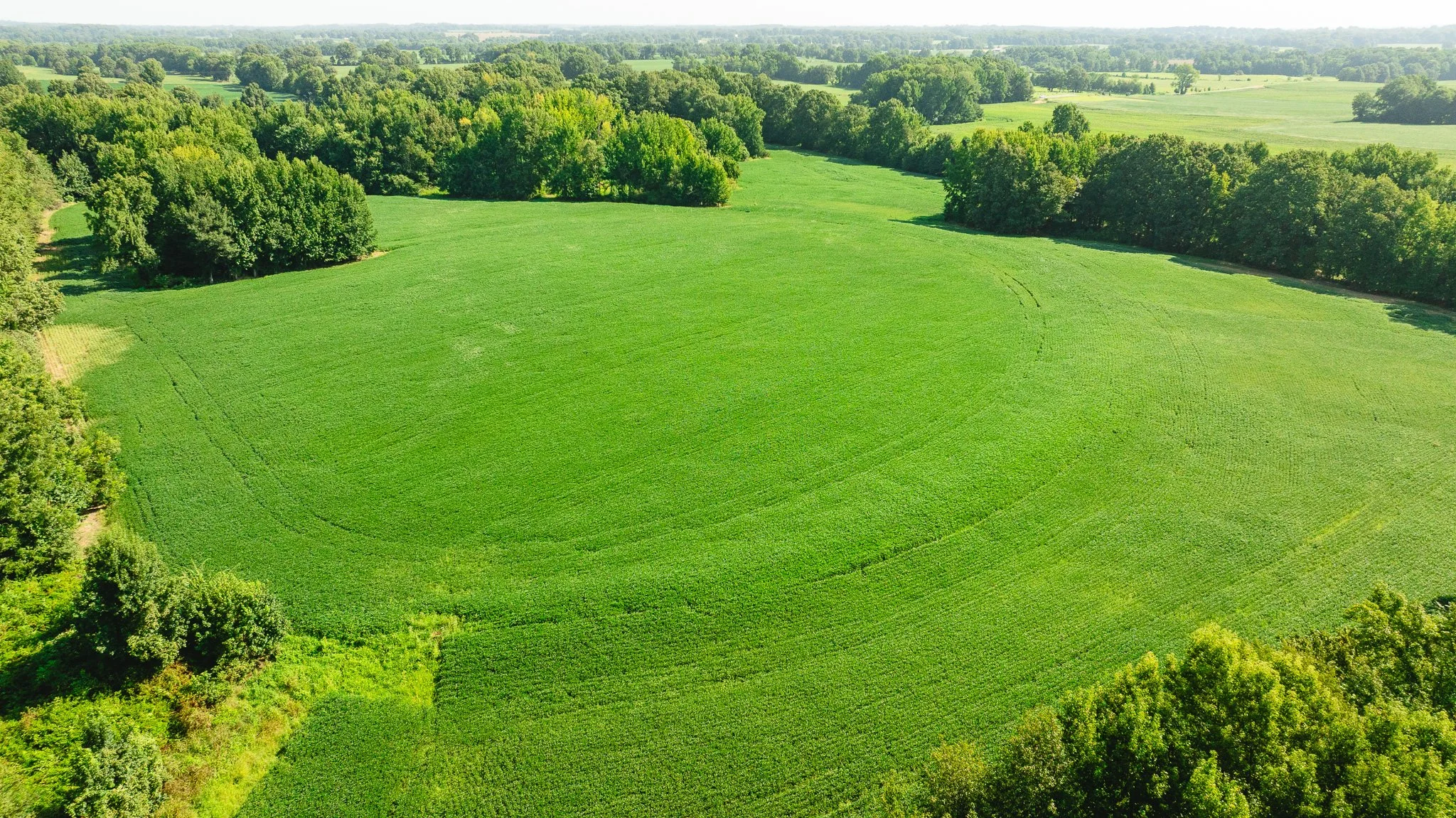 DJI_20260810170725_0101_D.jpg
