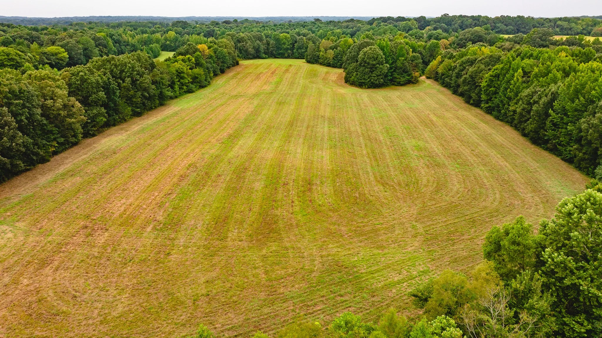 DJI_20260817172026_0022_D.jpg