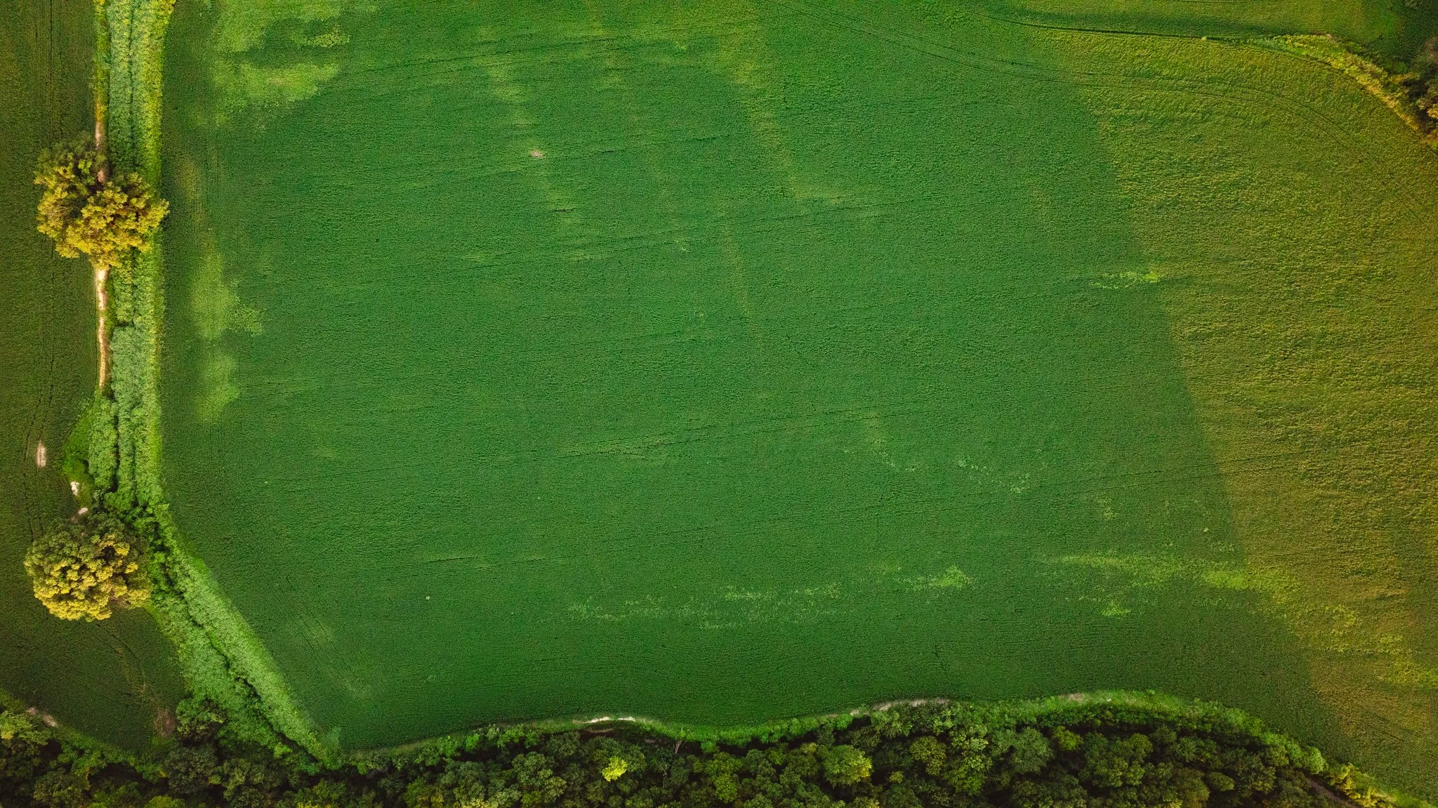 DJI_20260726135242_0021_D.jpg