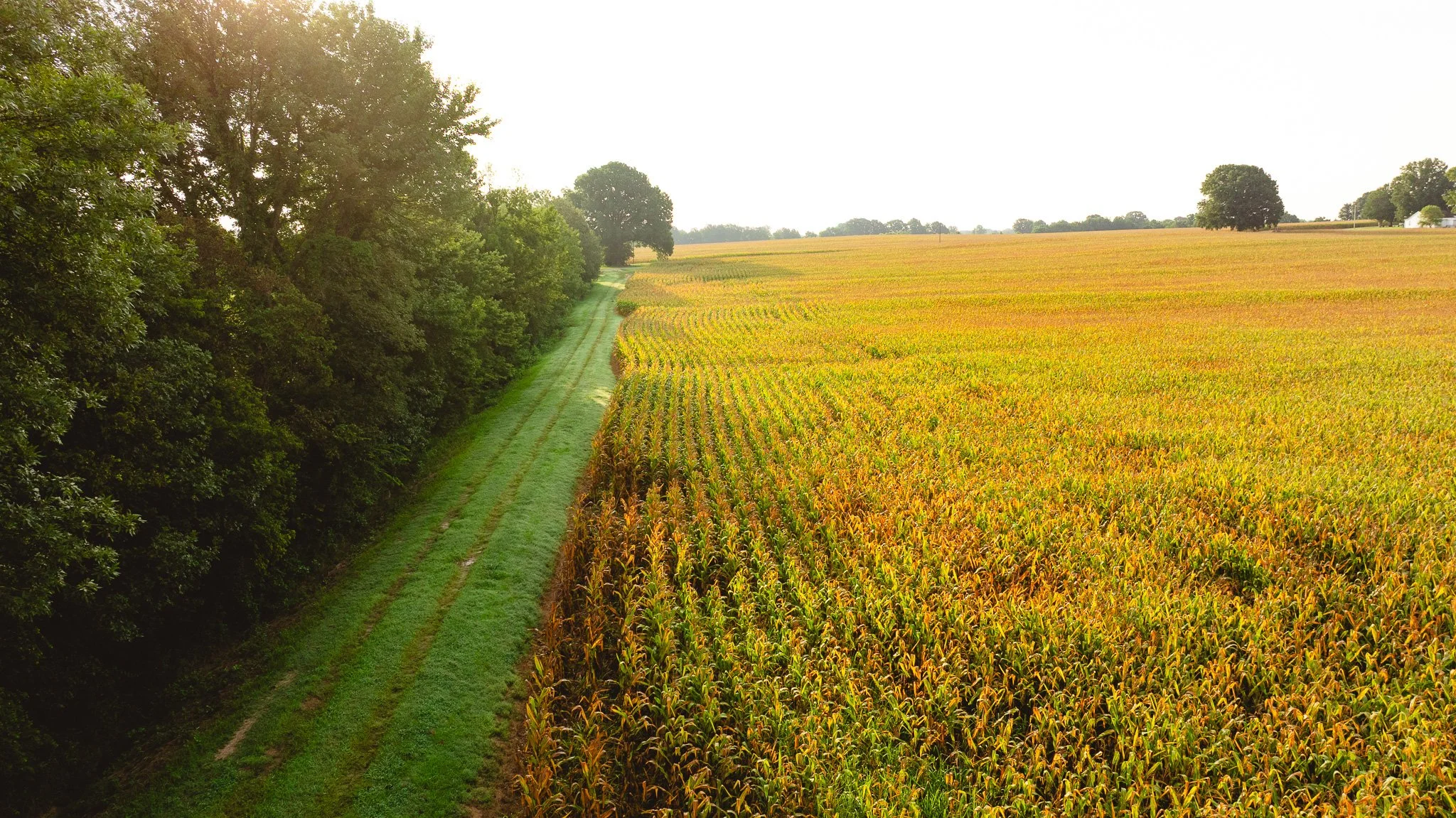 DJI_20260729144556_0076_D.jpg