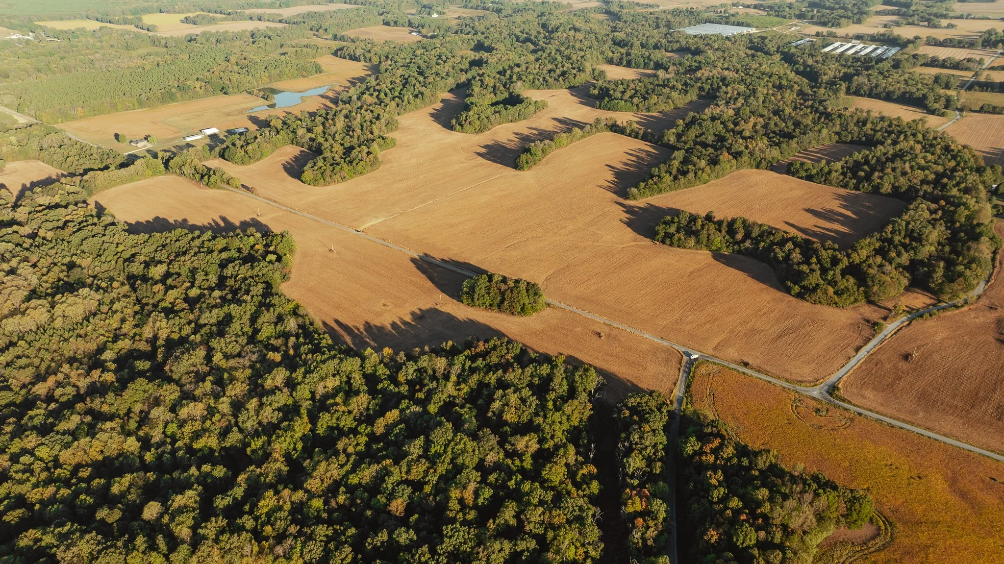 Josephine M. Stroud Land Auction