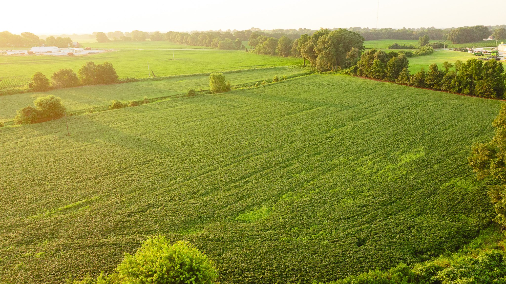 DJI_20260726140048_0040_D.jpg