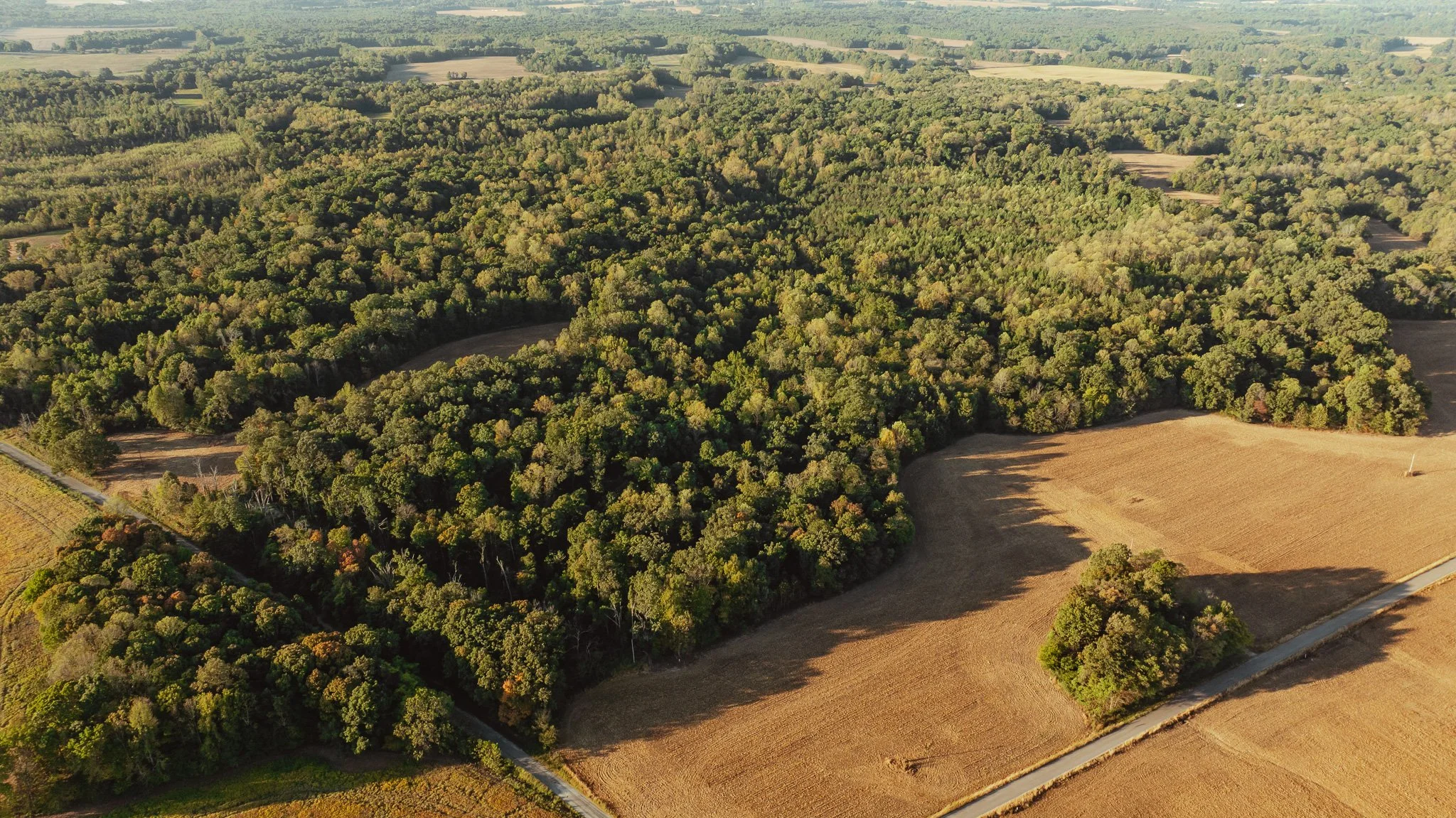 DJI_20261007150509_0012_D.jpg