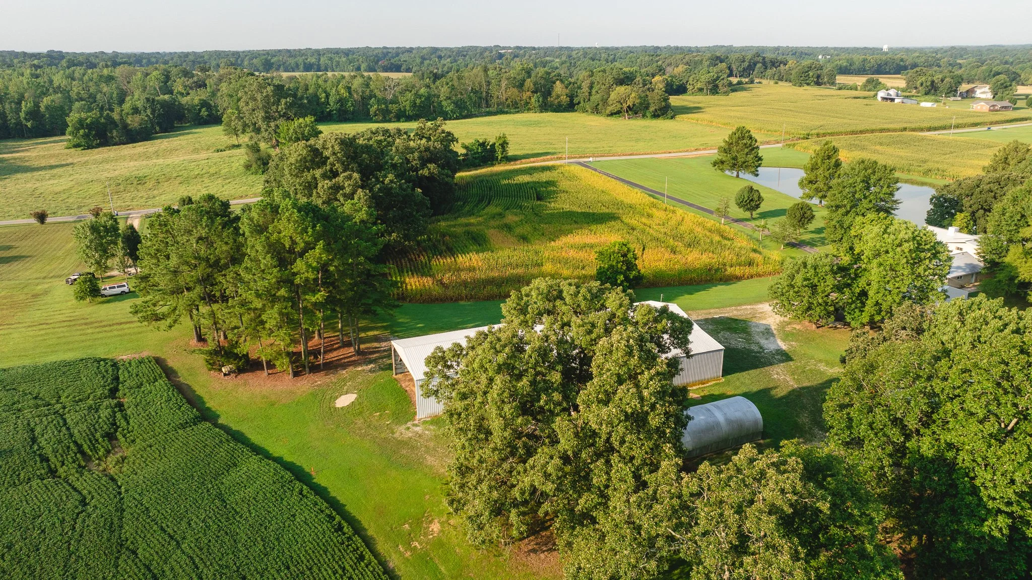 DJI_20260804151054_0042_D.jpg