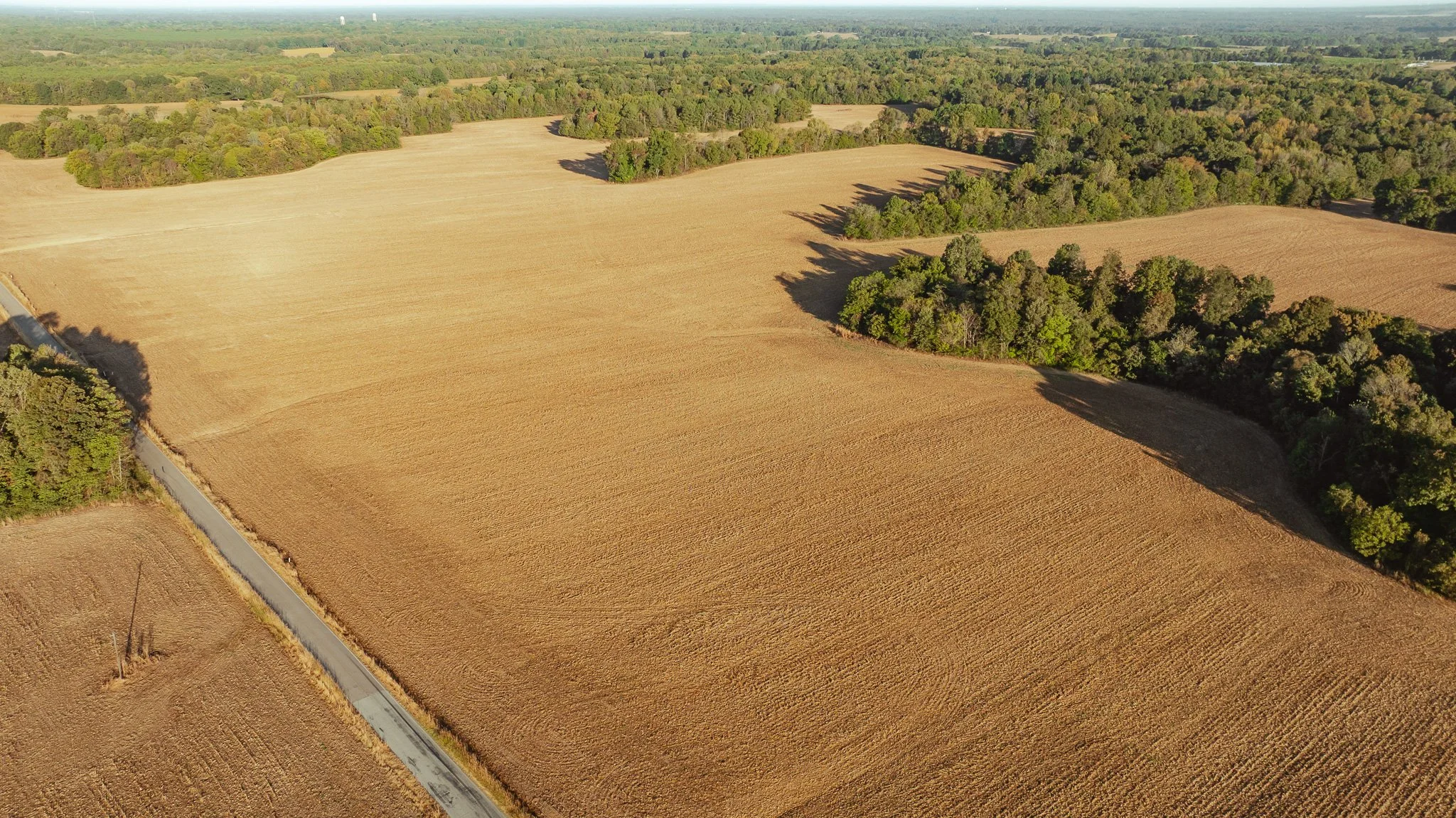 DJI_20261007150036_0007_D.jpg