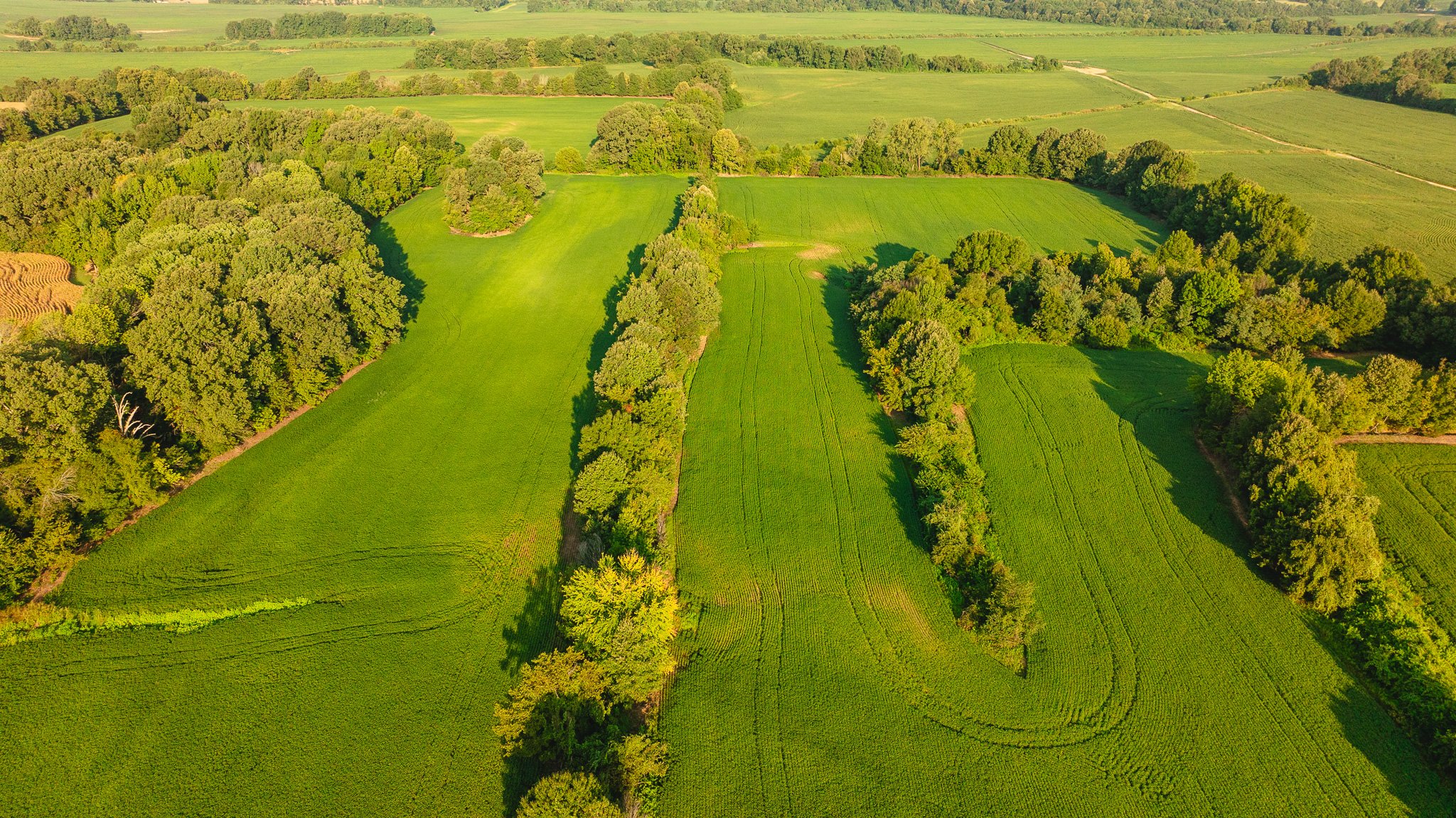 DJI_20260810150520_0018_D.jpg