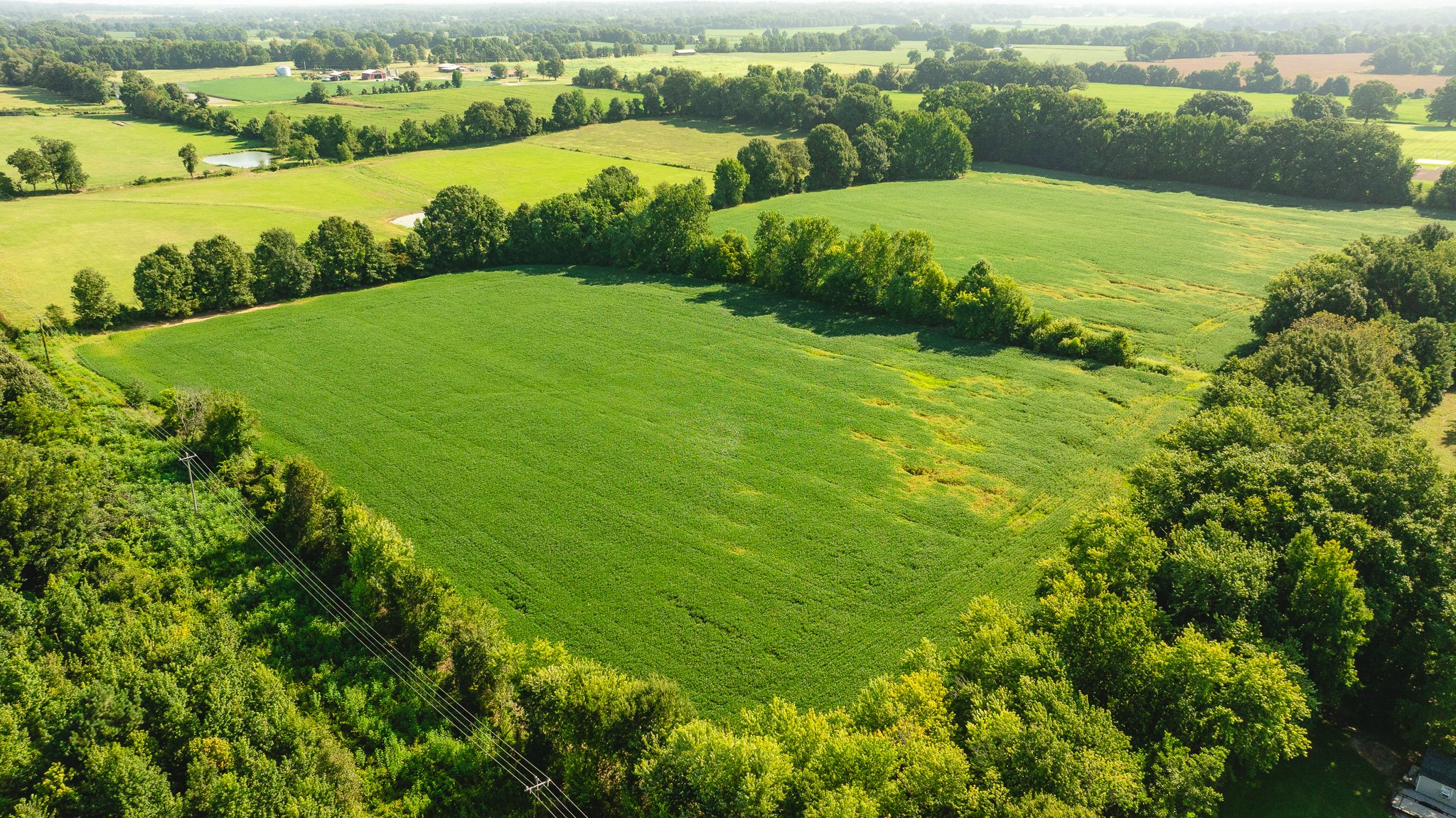 DJI_20260810164118_0083_D.jpg