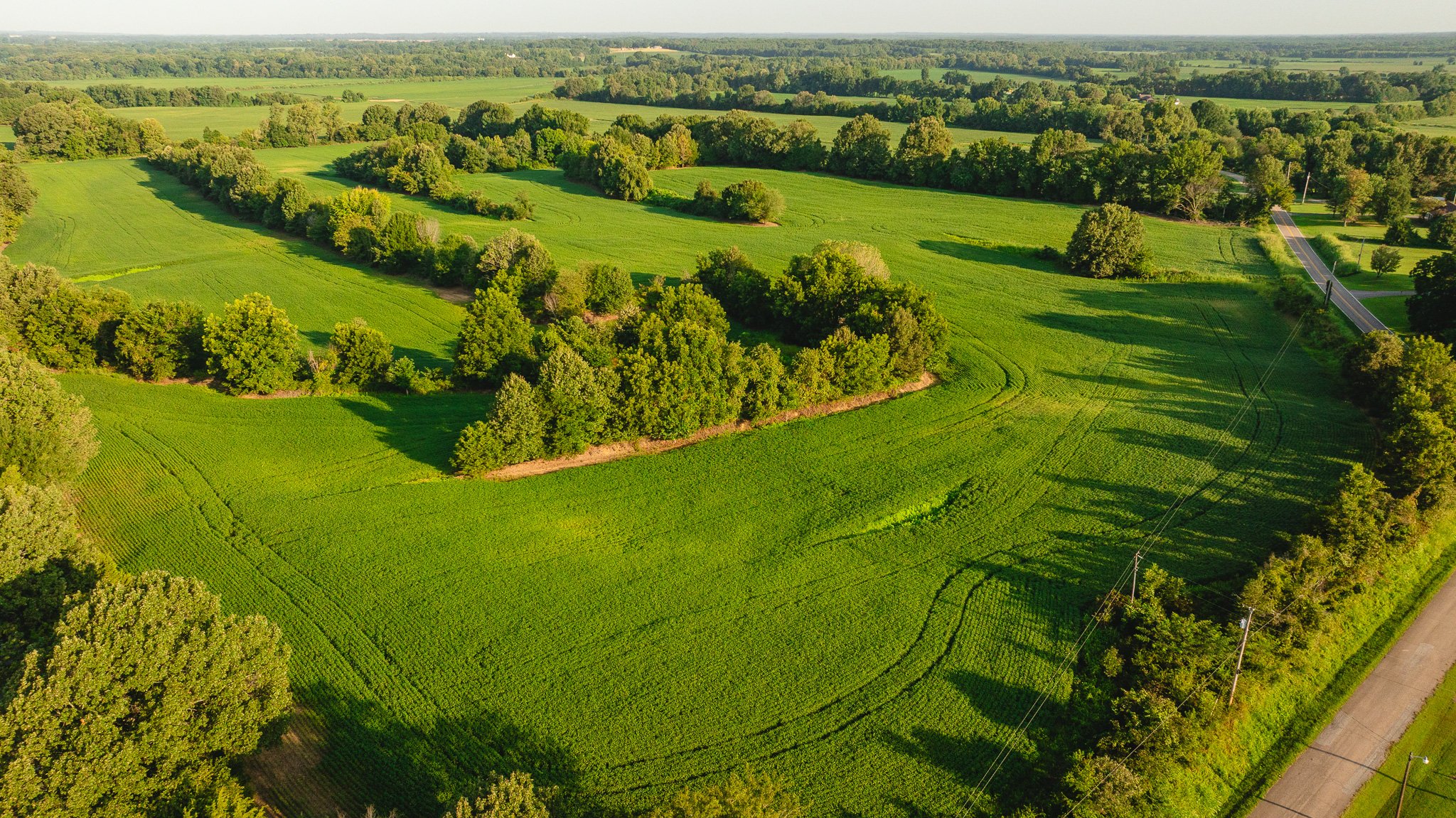 DJI_20260810150129_0007_D.jpg