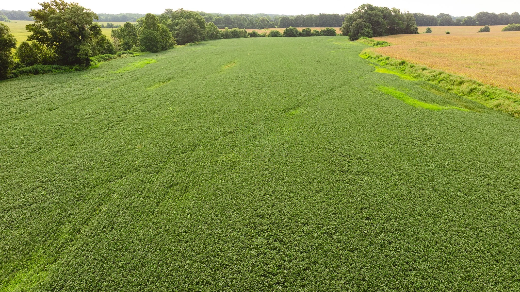DJI_20260729160918_0084_D.jpg