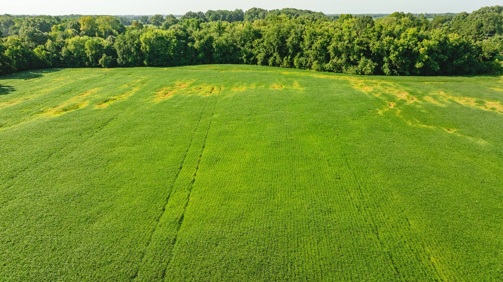 DJI_20260810164023_0081_D.jpg