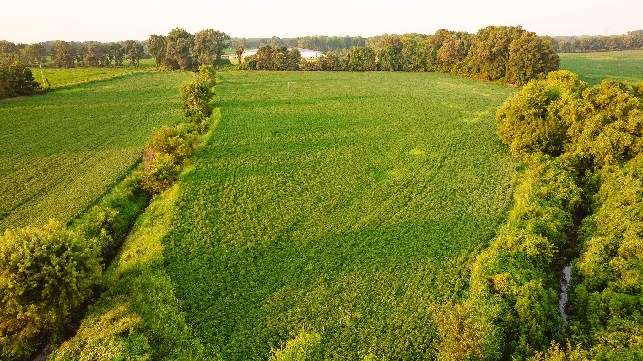 DJI_20260726140022_0038_D.jpg