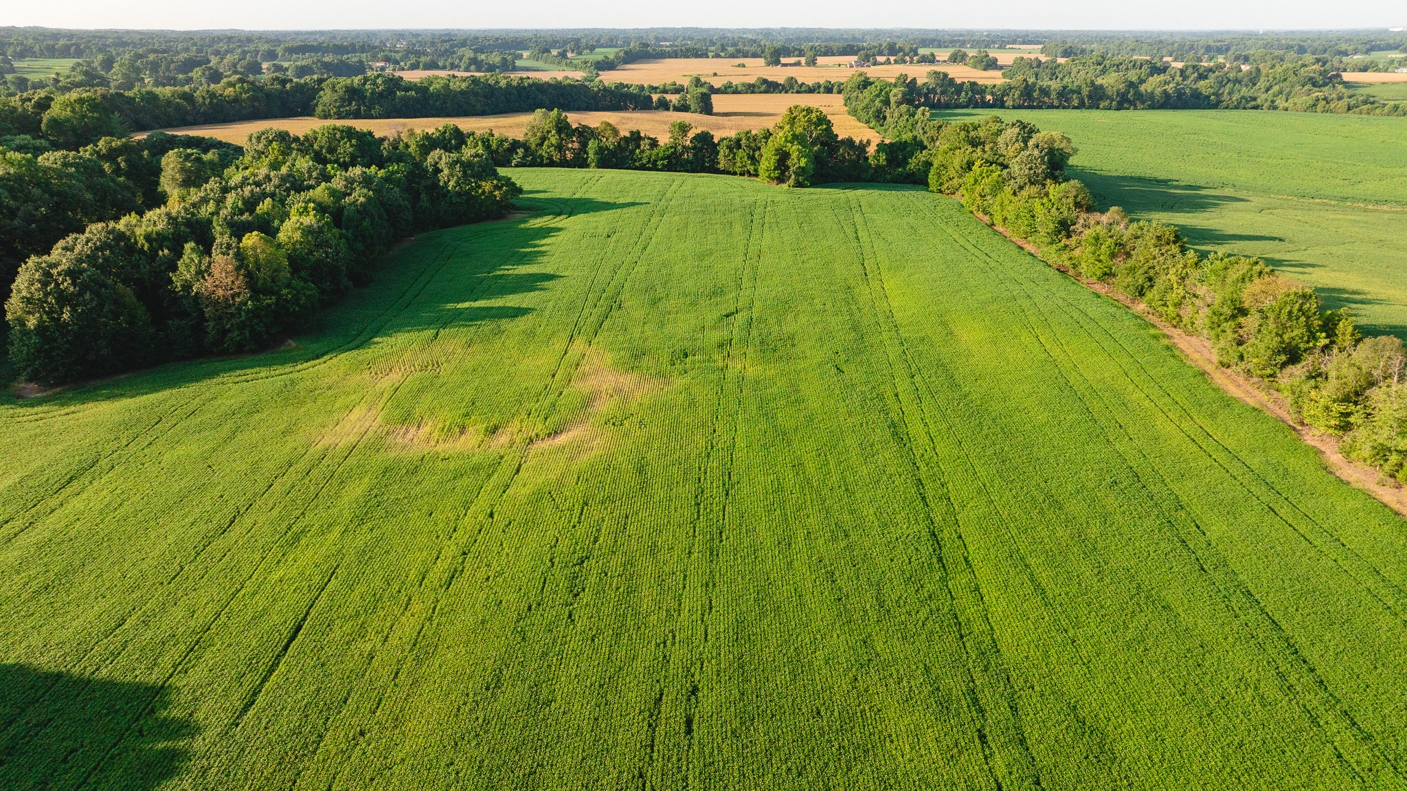 DJI_20260810150718_0023_D.jpg