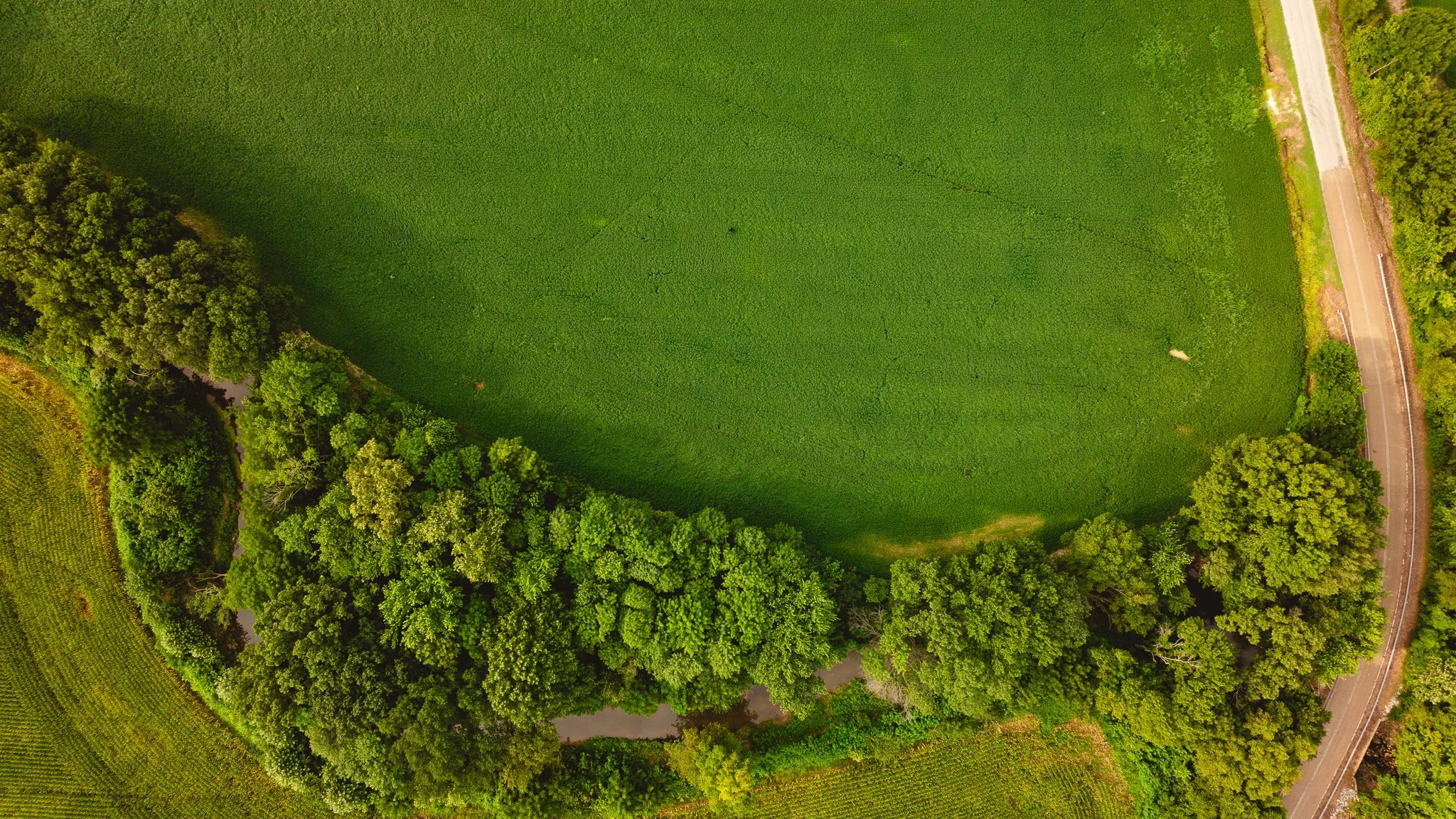 DJI_20260729160831_0082_D.jpg